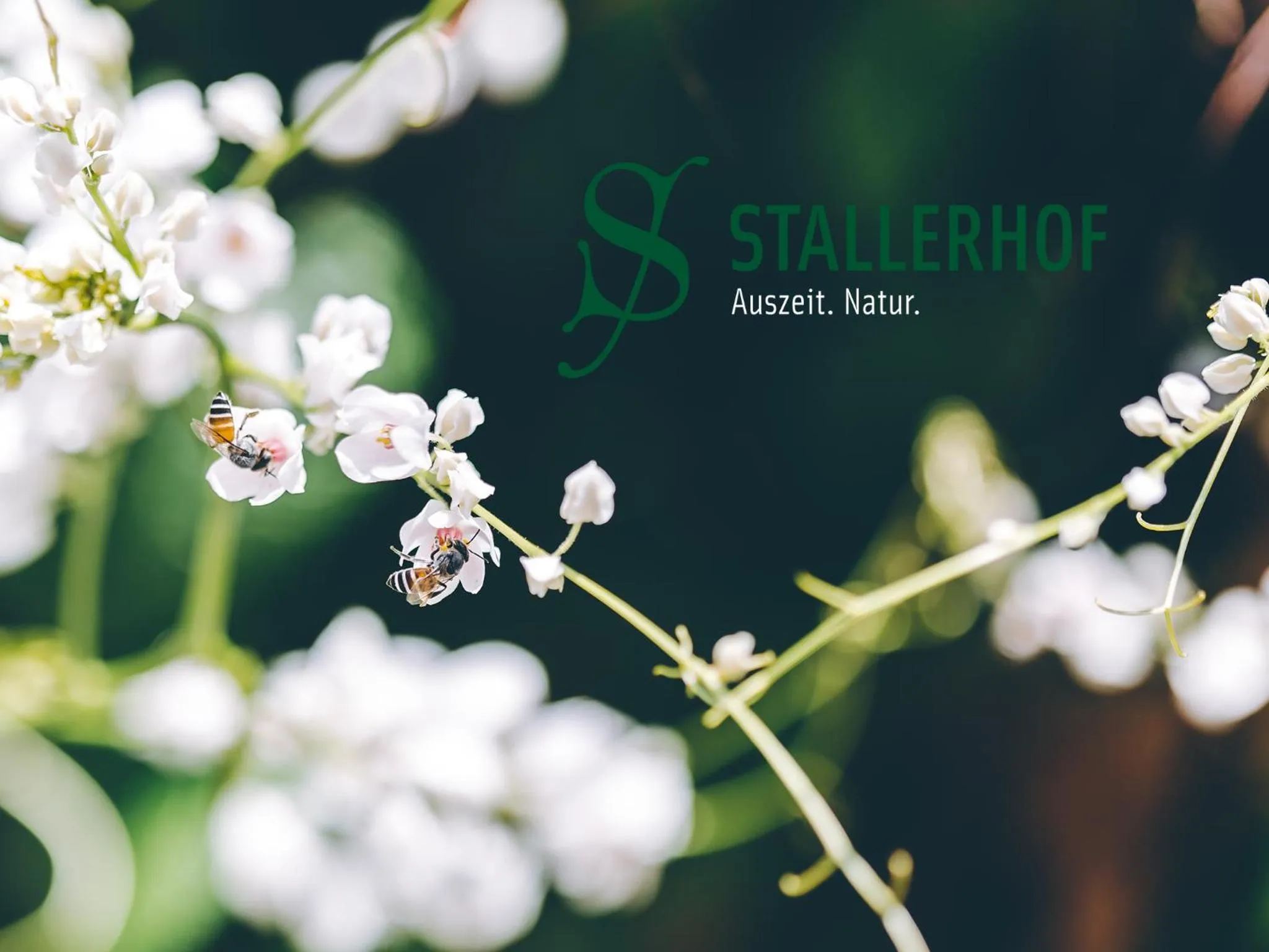 Logo/Certificate/Sign in Stallerhof