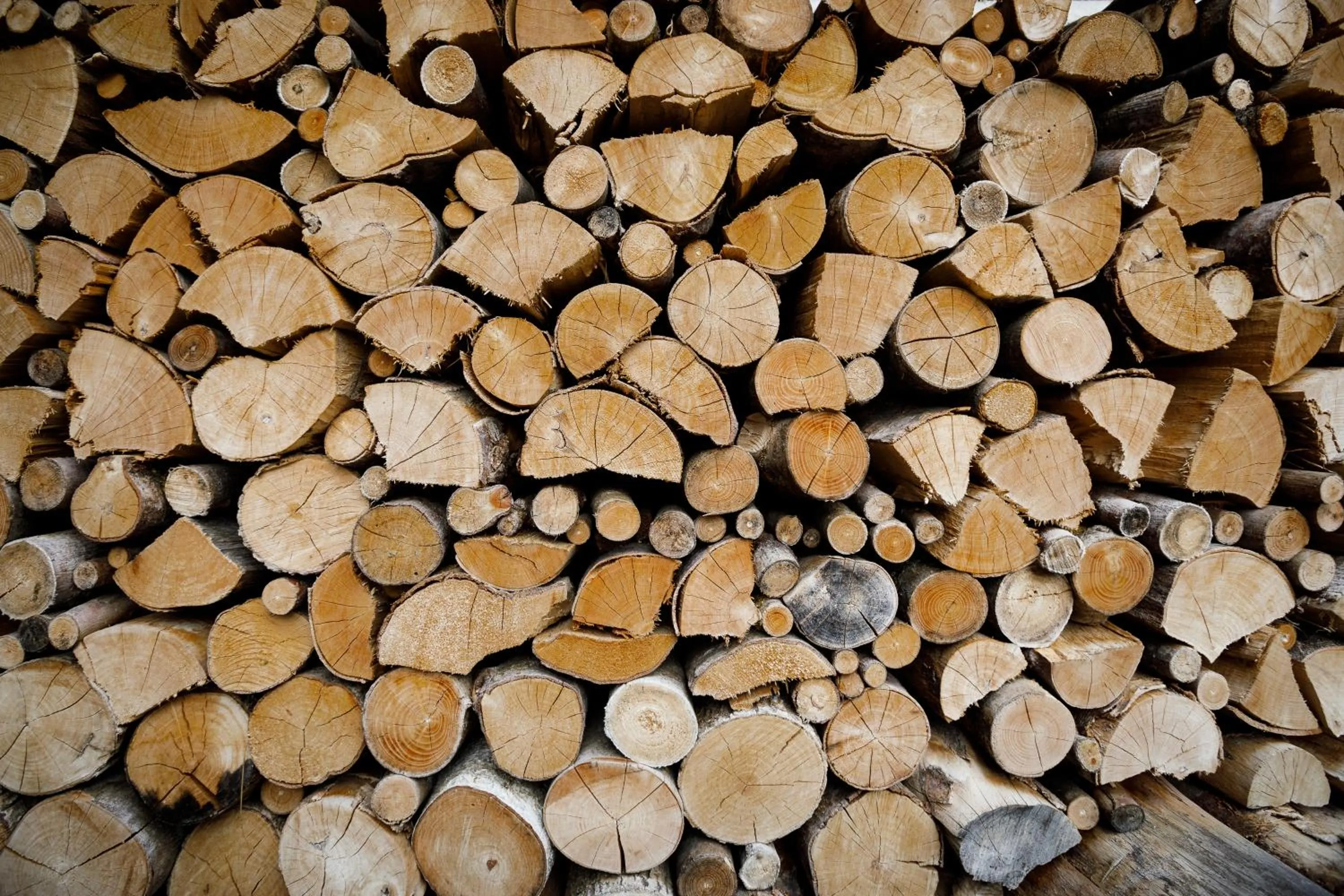 Natural landscape in Hotel Maso del Brenta