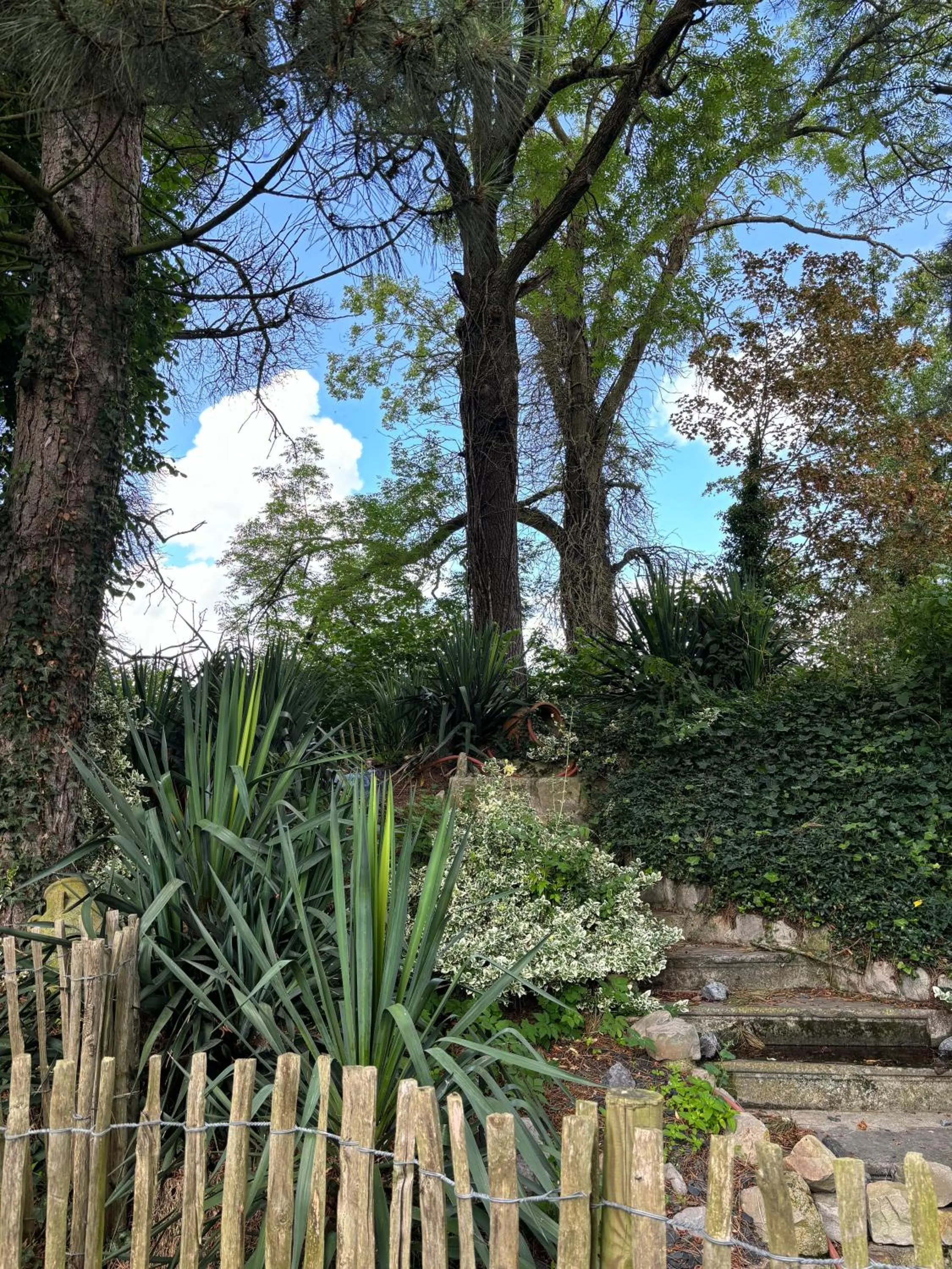 Natural landscape in LOGIS HÔTEL-RESTAURANT - Le Moulin d'Artres