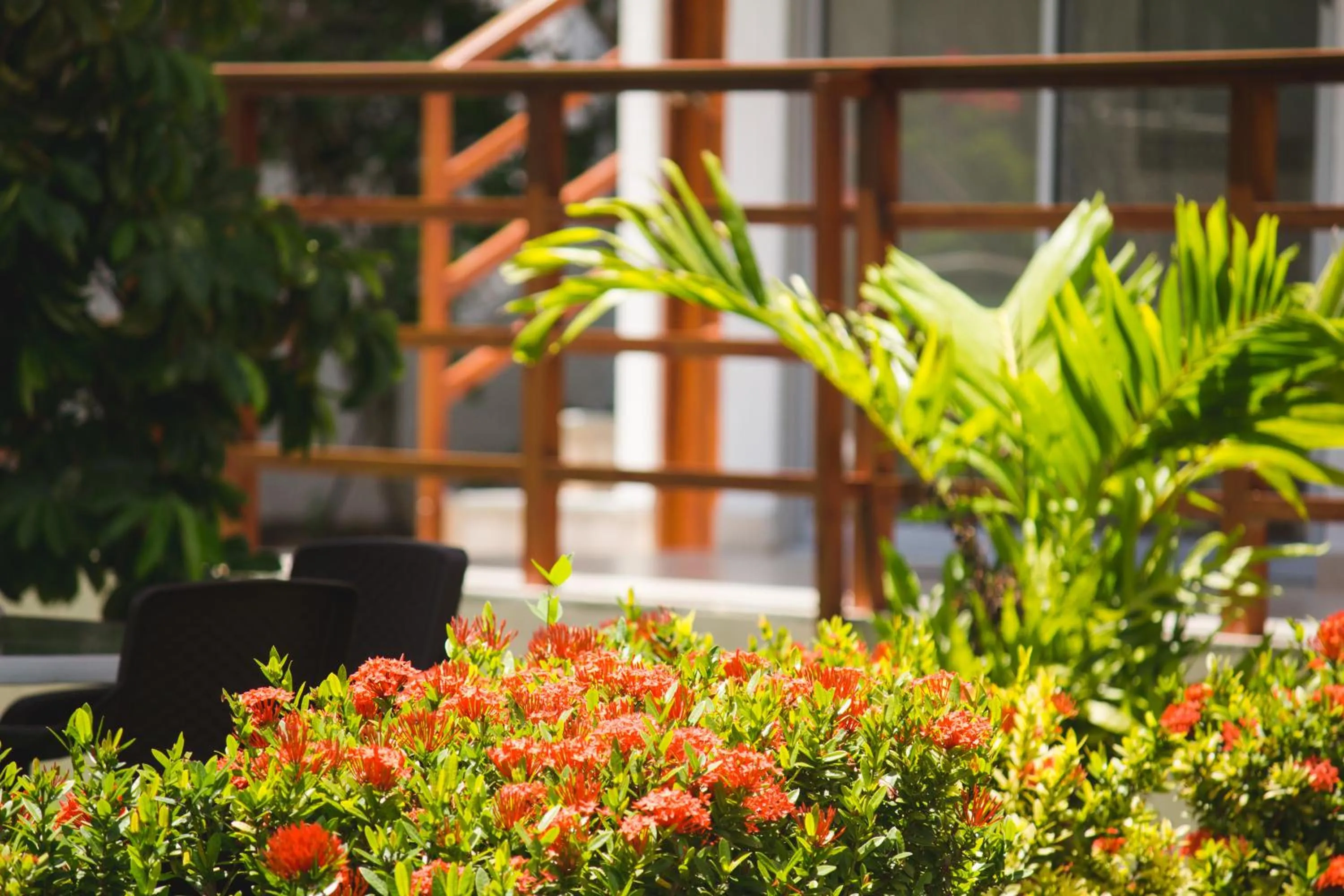 View (from property/room) in Cabañas Green Yard