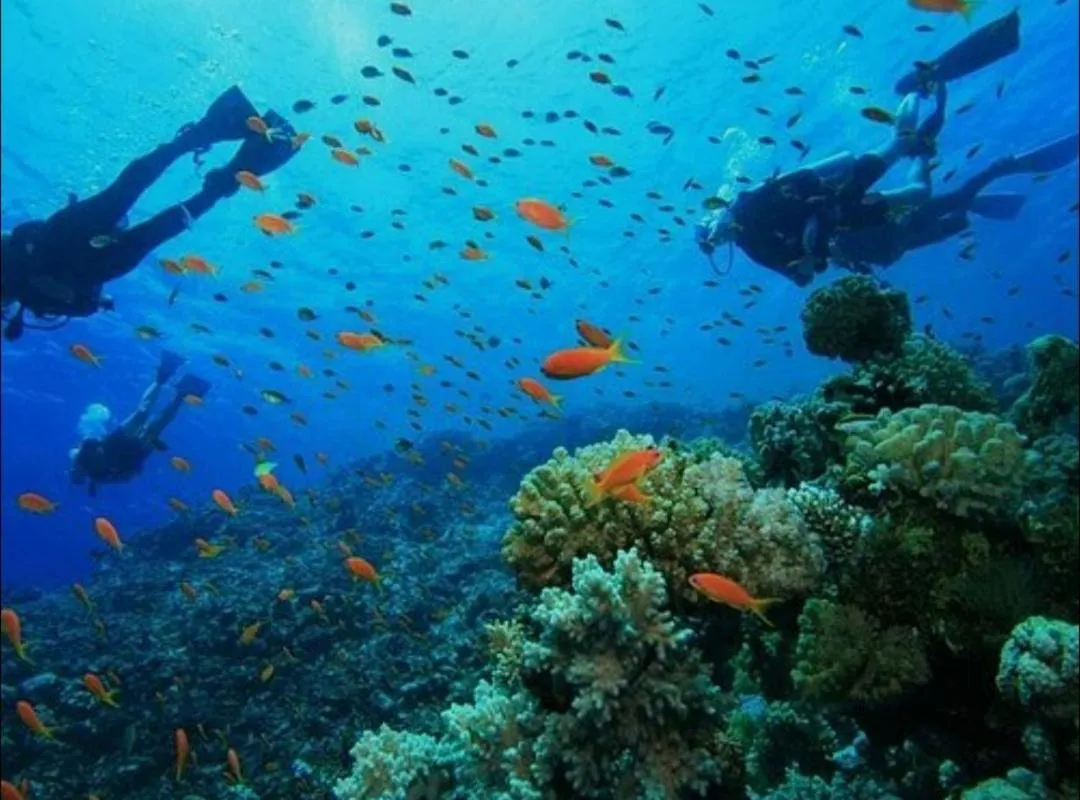 Diving in Cabañas Green Yard