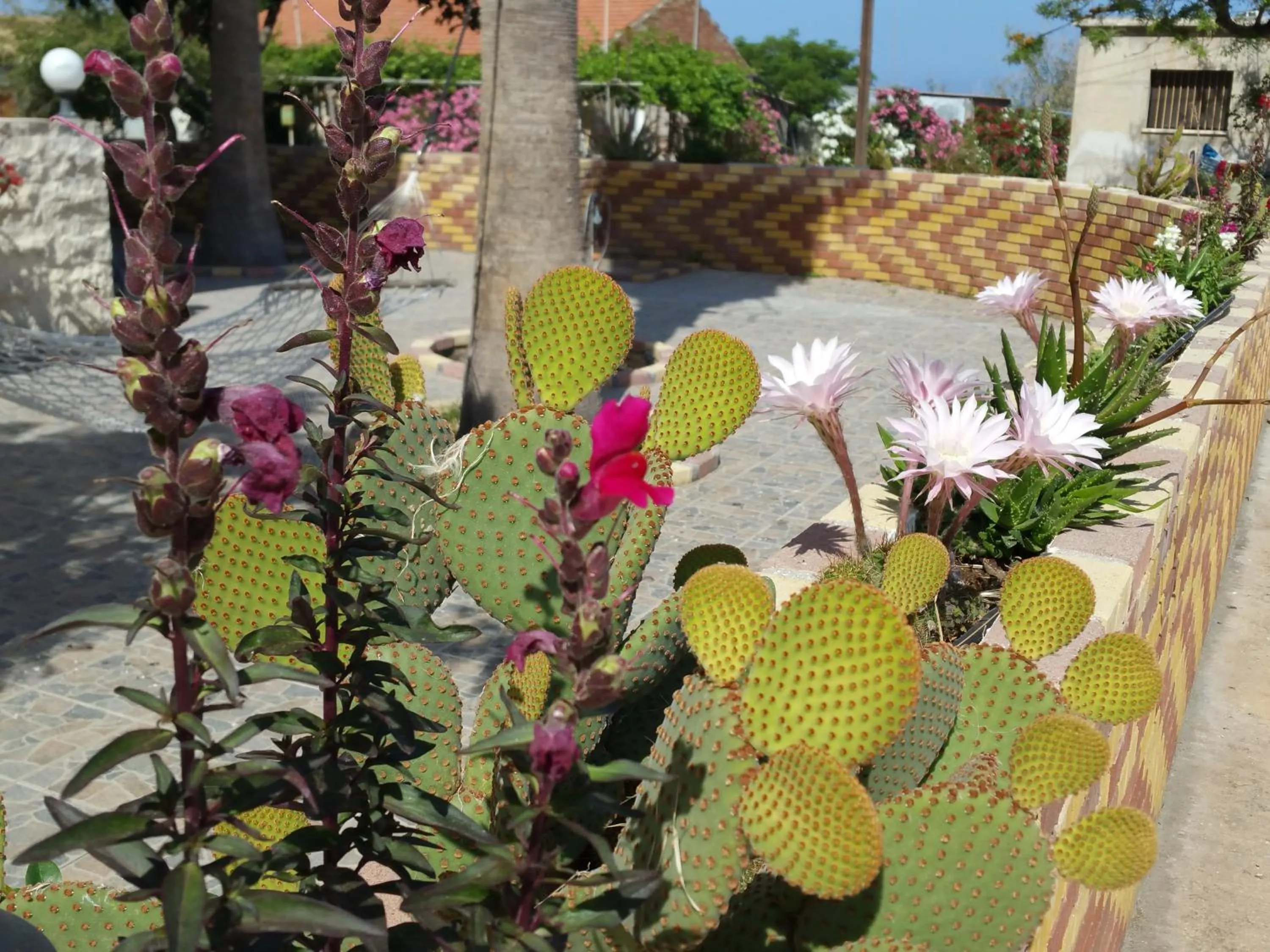 Garden in Astrofegia Apartments Near The Sea
