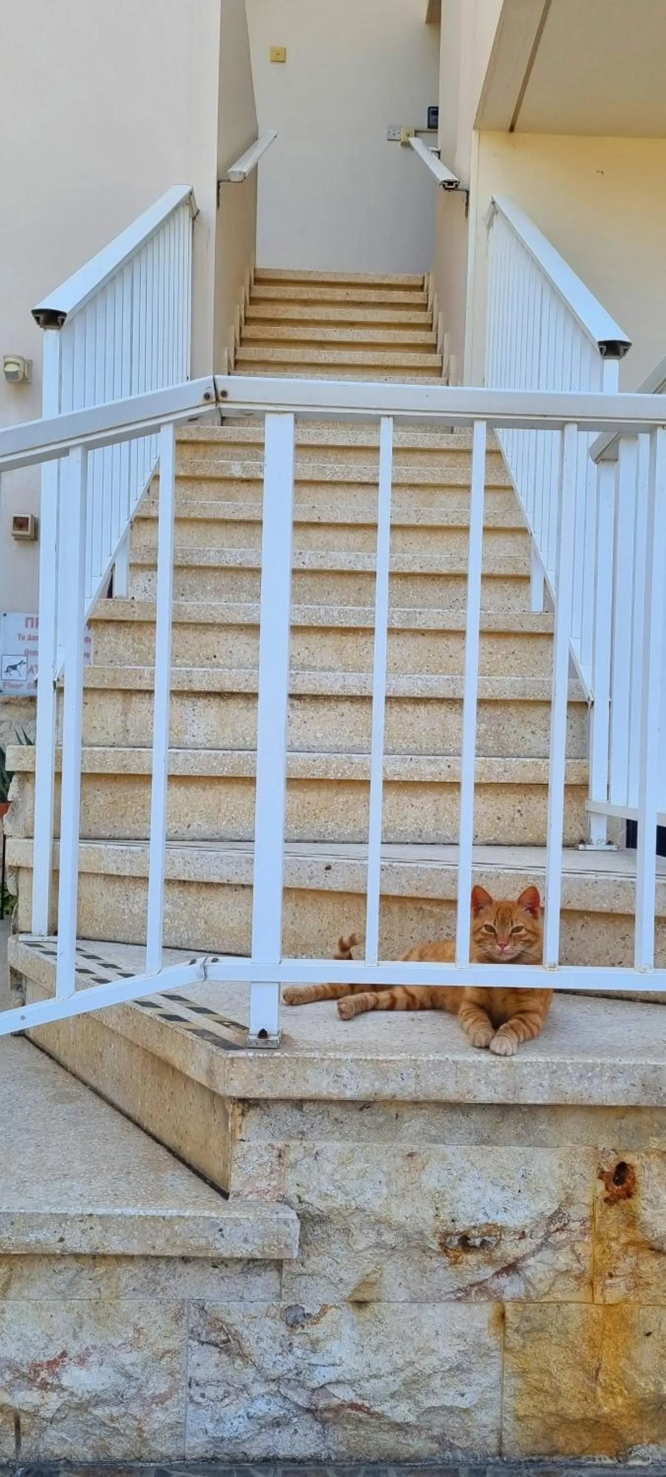 Property building in Astrofegia Apartments Near The Sea