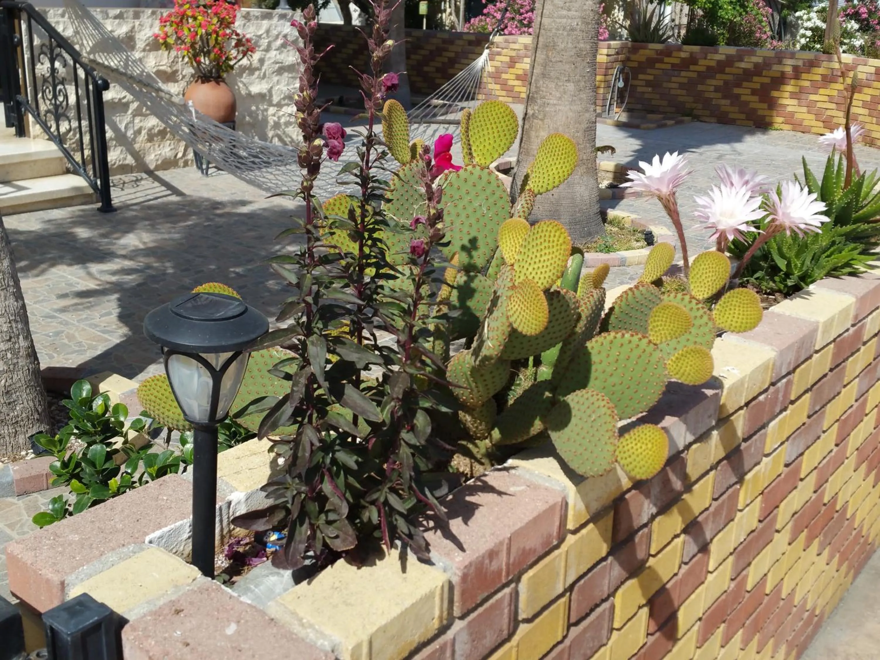 Garden in Astrofegia Apartments Near The Sea