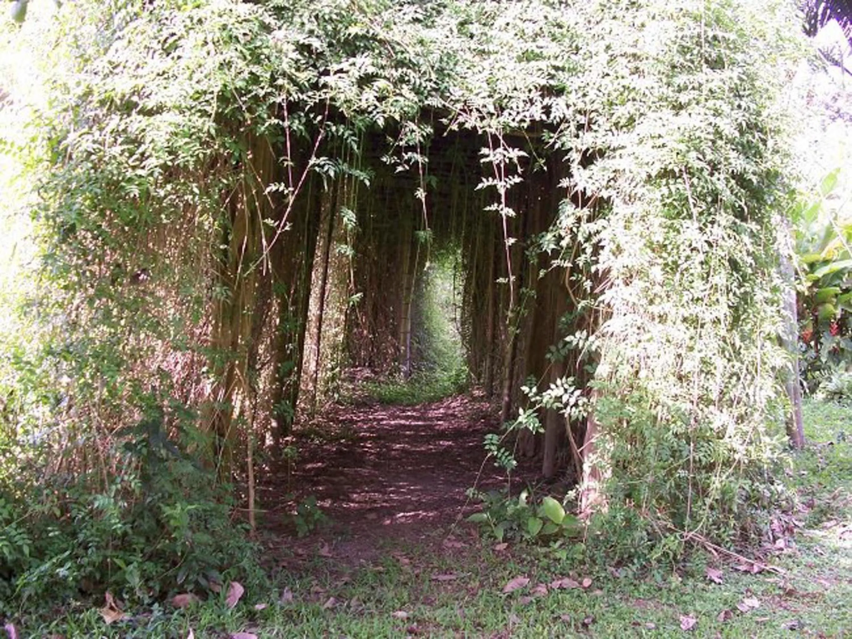 Garden in Hotel Campestre la Navarra