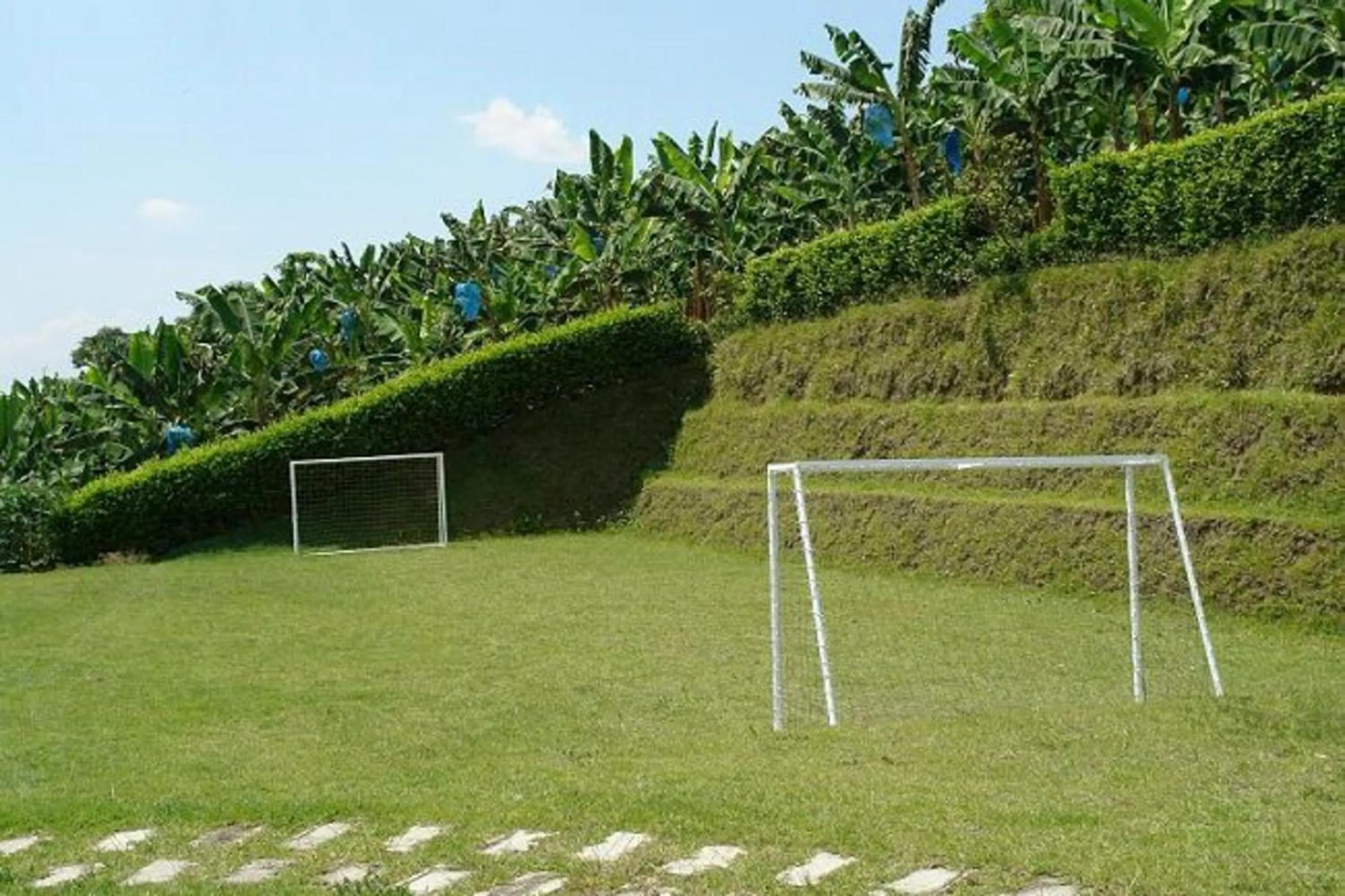 Patio in Hotel Campestre la Navarra