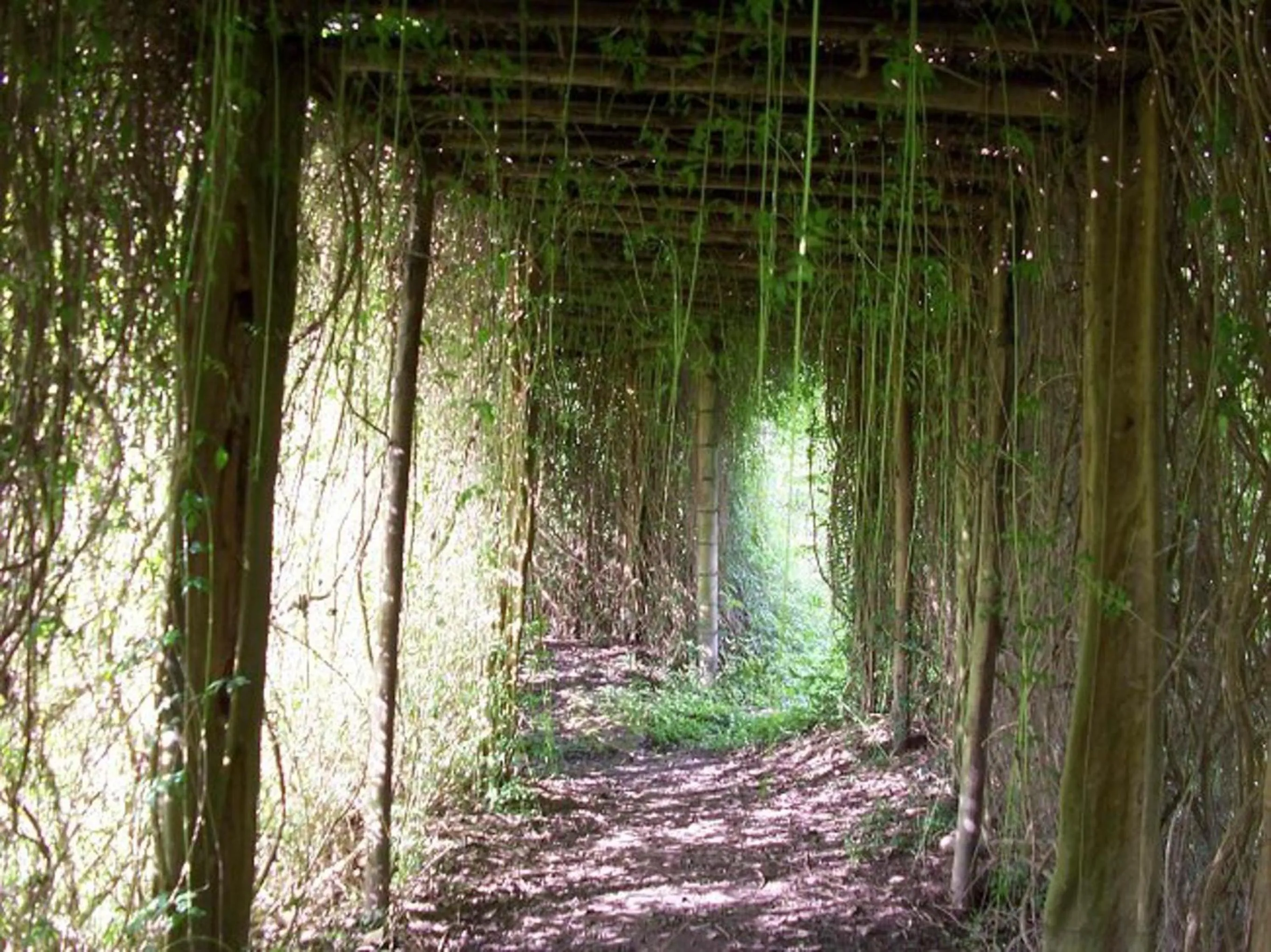 Patio in Hotel Campestre la Navarra
