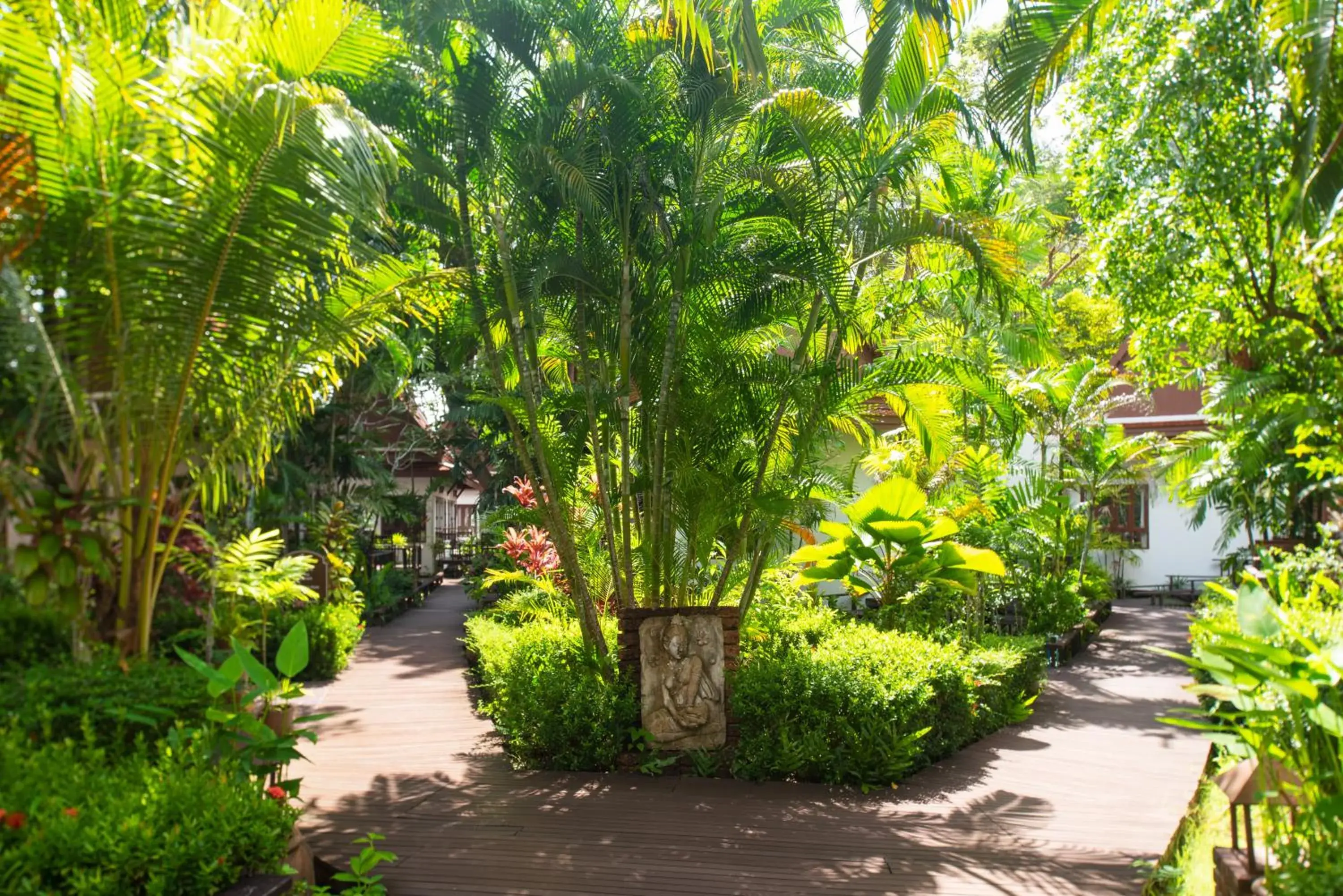 Natural landscape, Garden in Royal Lanta Resort & Spa