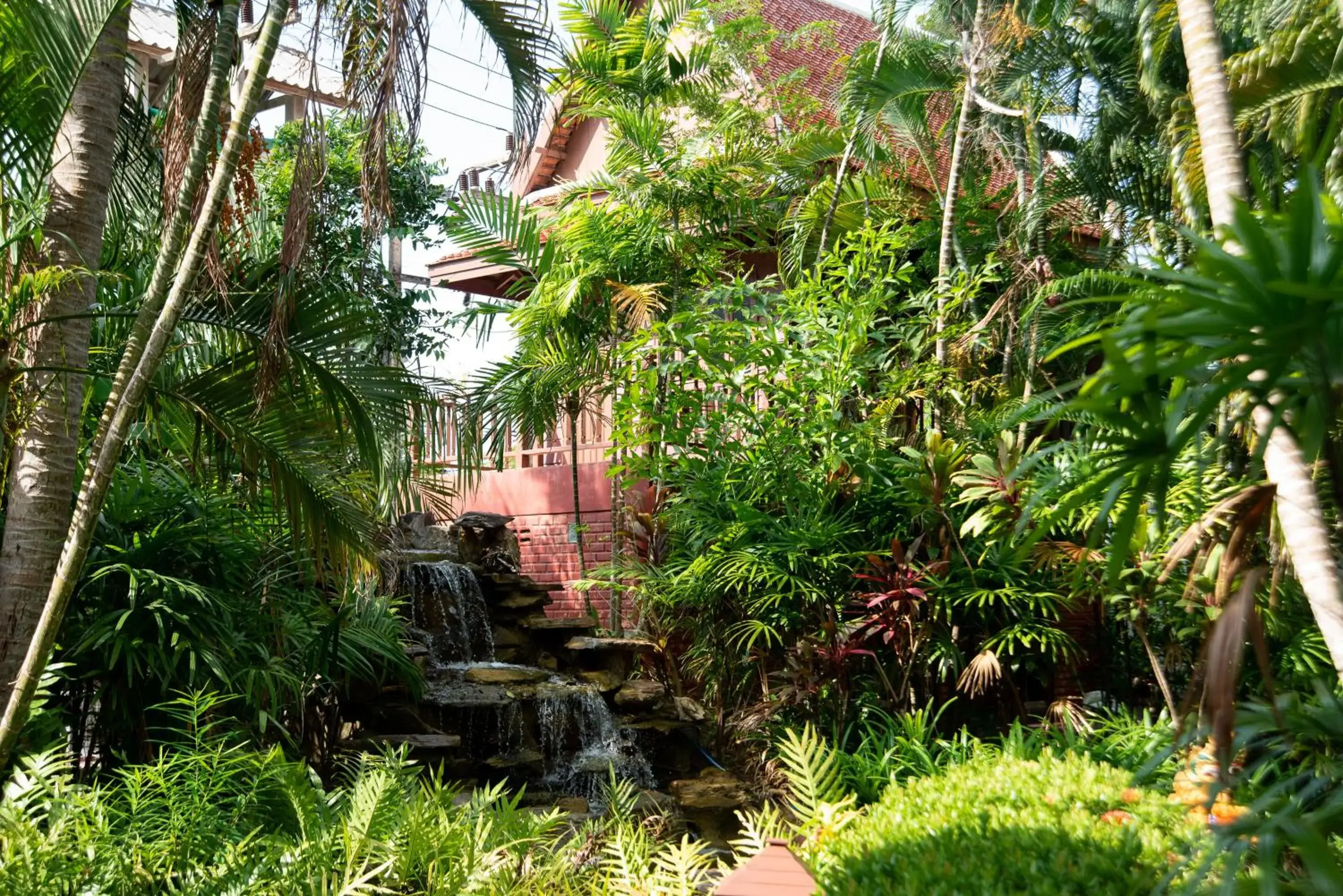 Natural landscape, Garden in Royal Lanta Resort & Spa