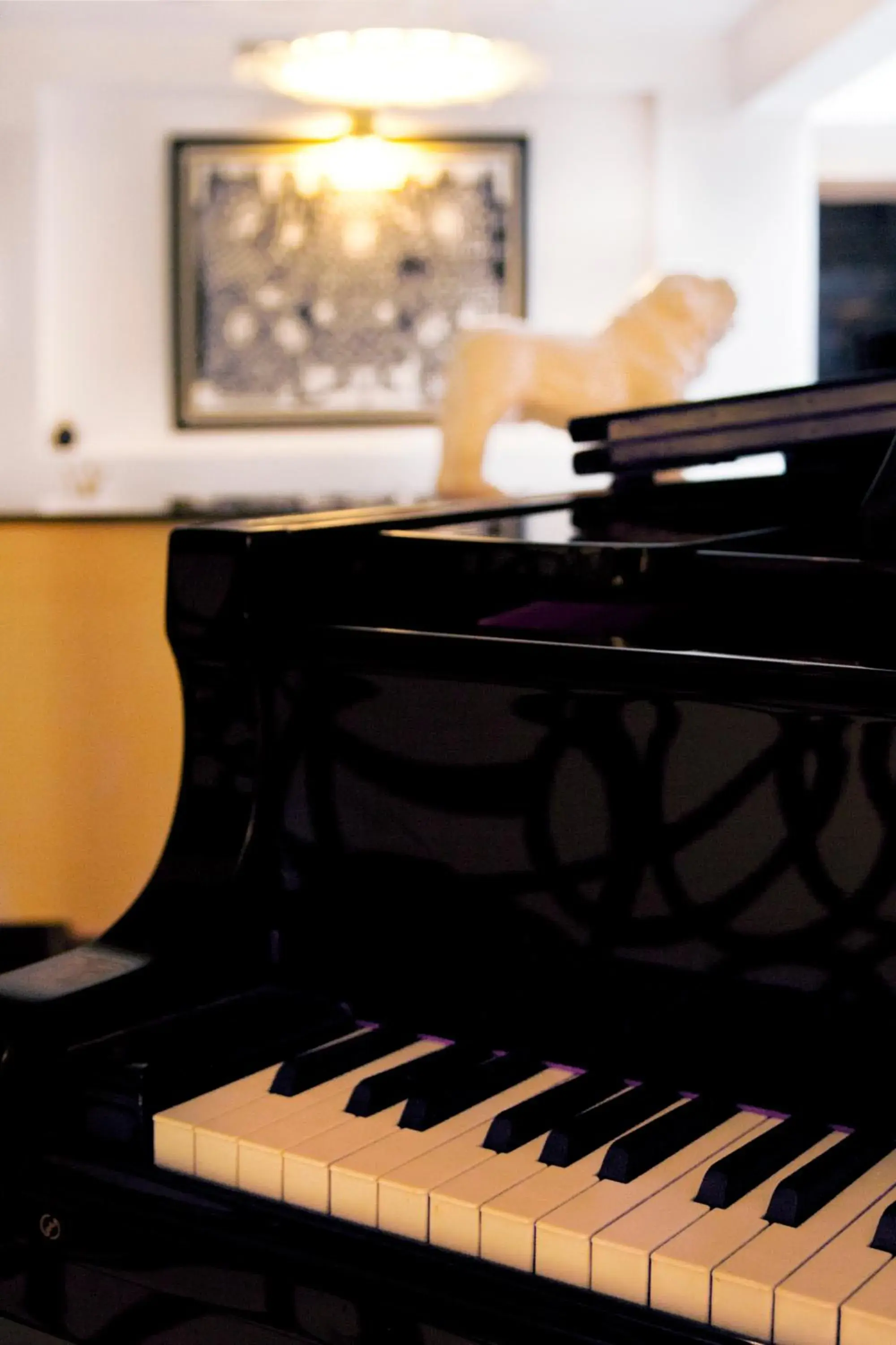 Lounge or bar in Riad Dar Saba - Saba's House Lounge or bar in Riad Dar Saba - Saba's House