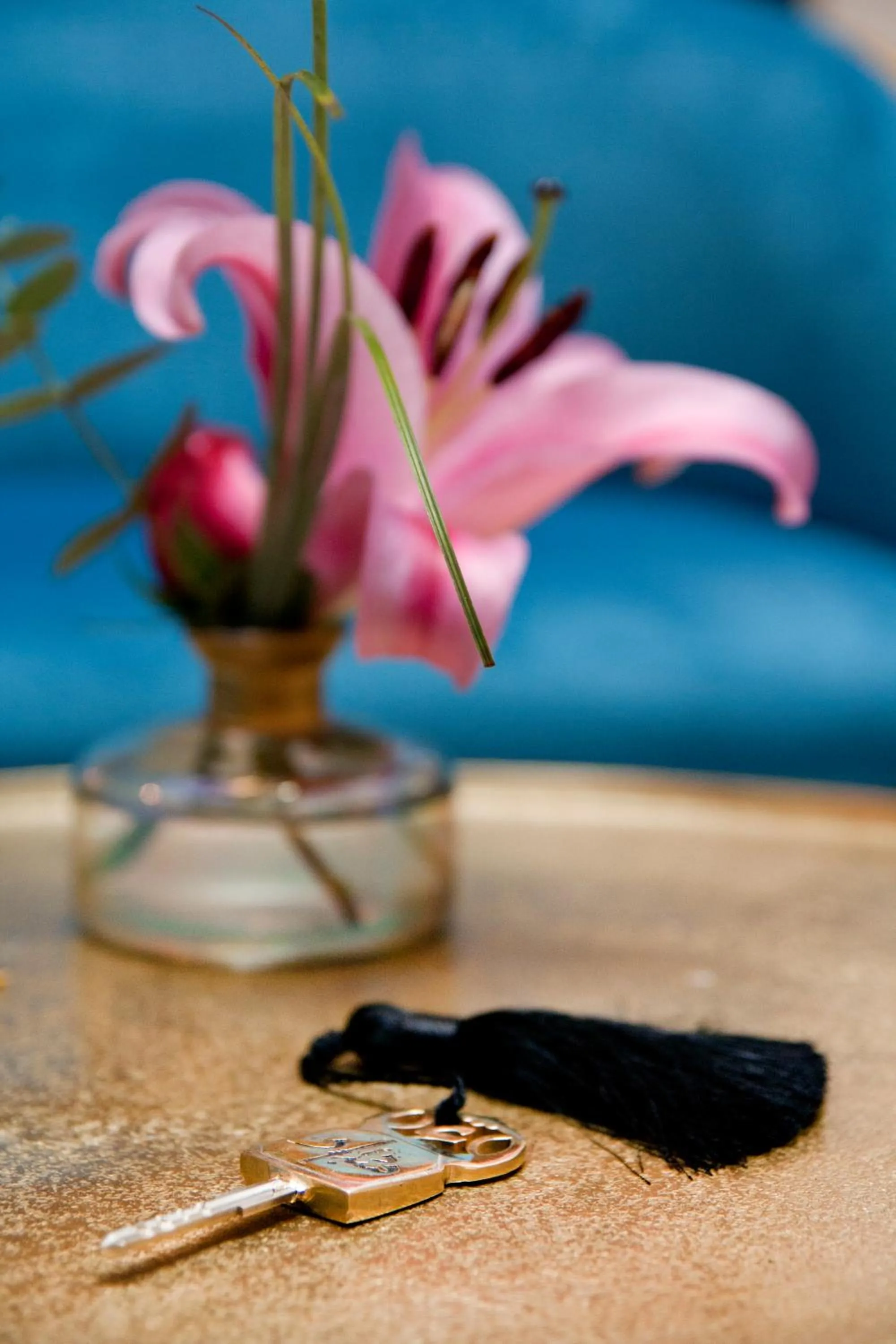 Riad Dar Saba - Saba's House