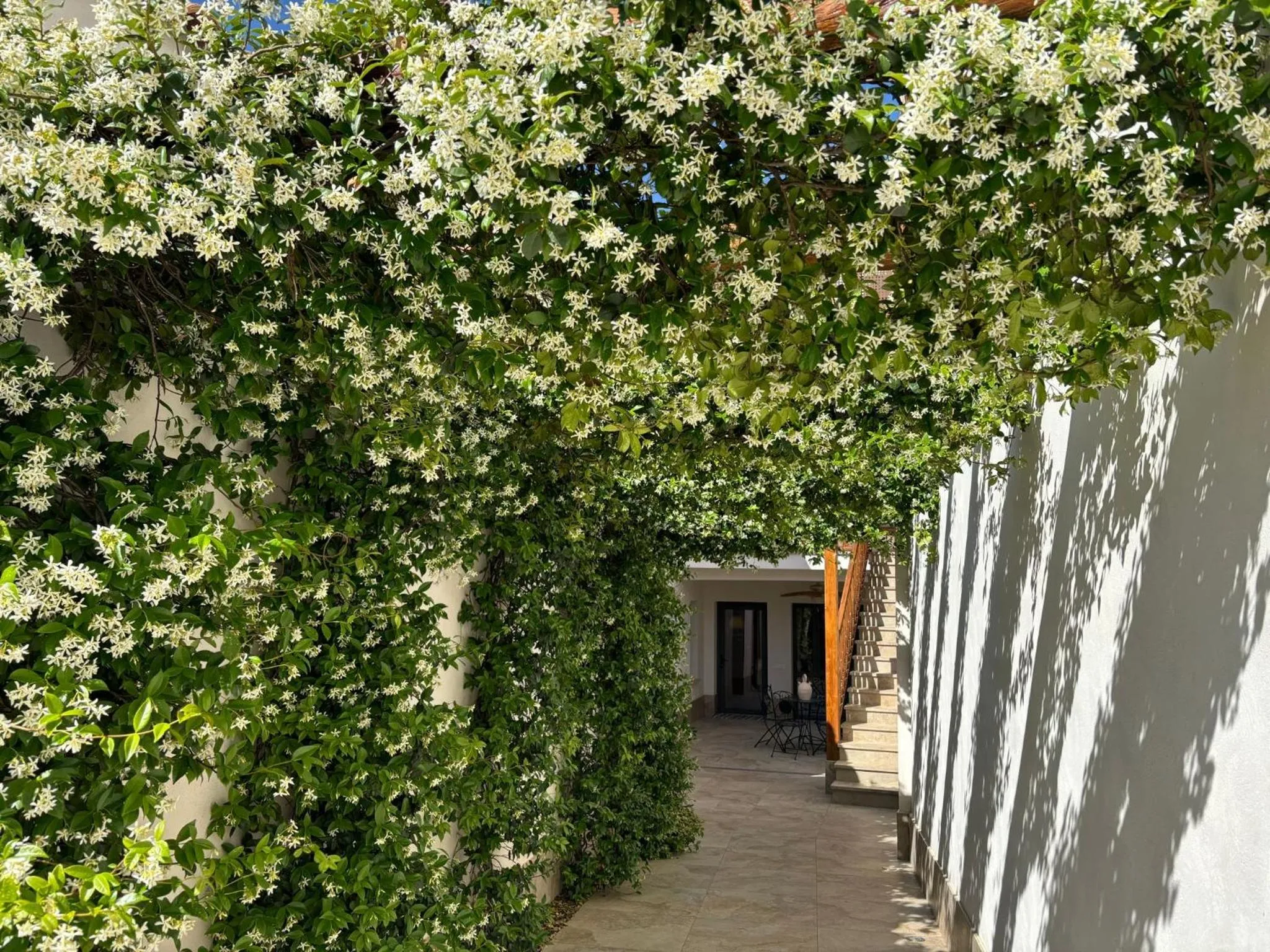 Garden view in El Patio de los Jazmines Boutique-House