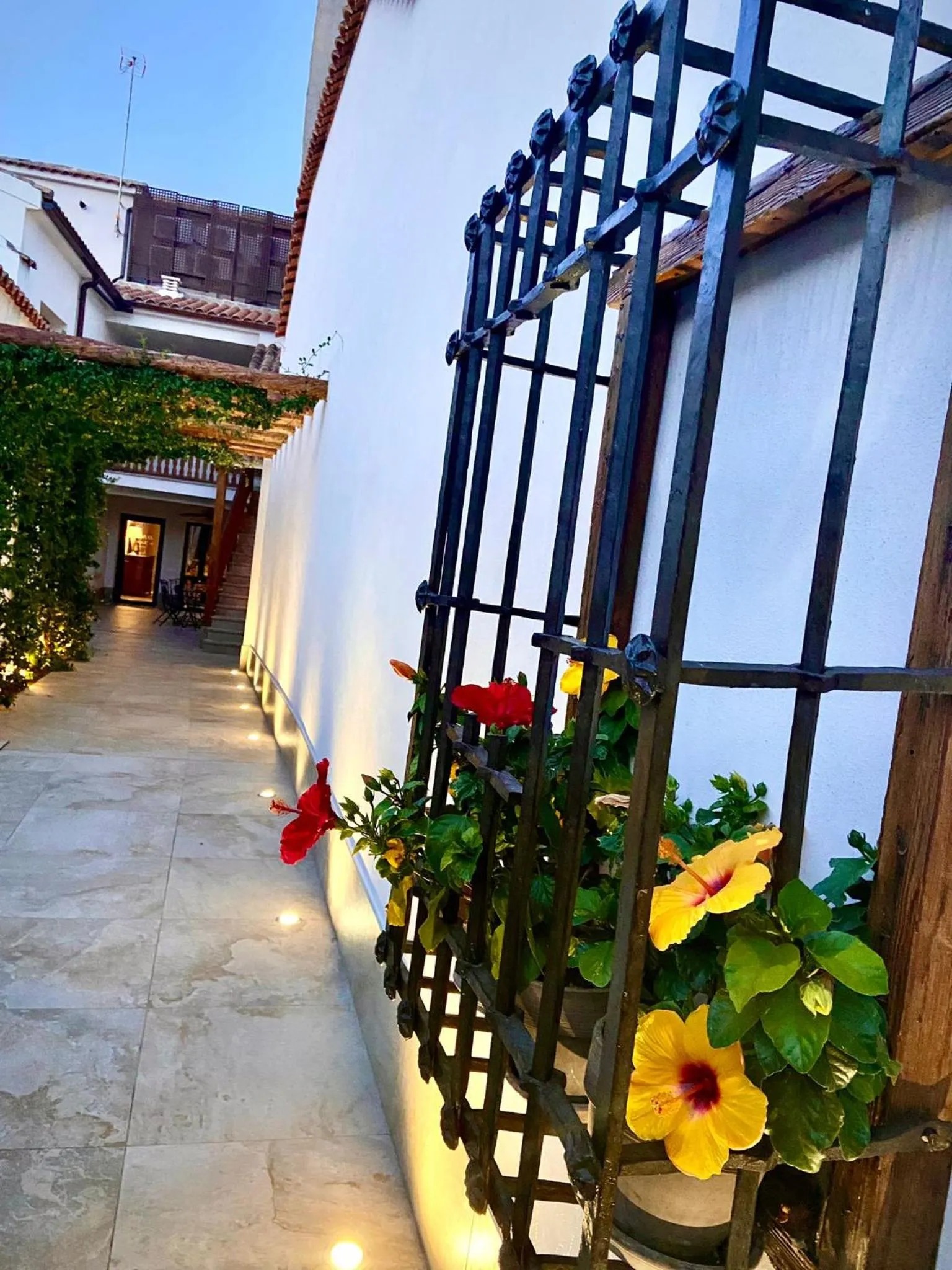 Garden in El Patio de los Jazmines Boutique-House