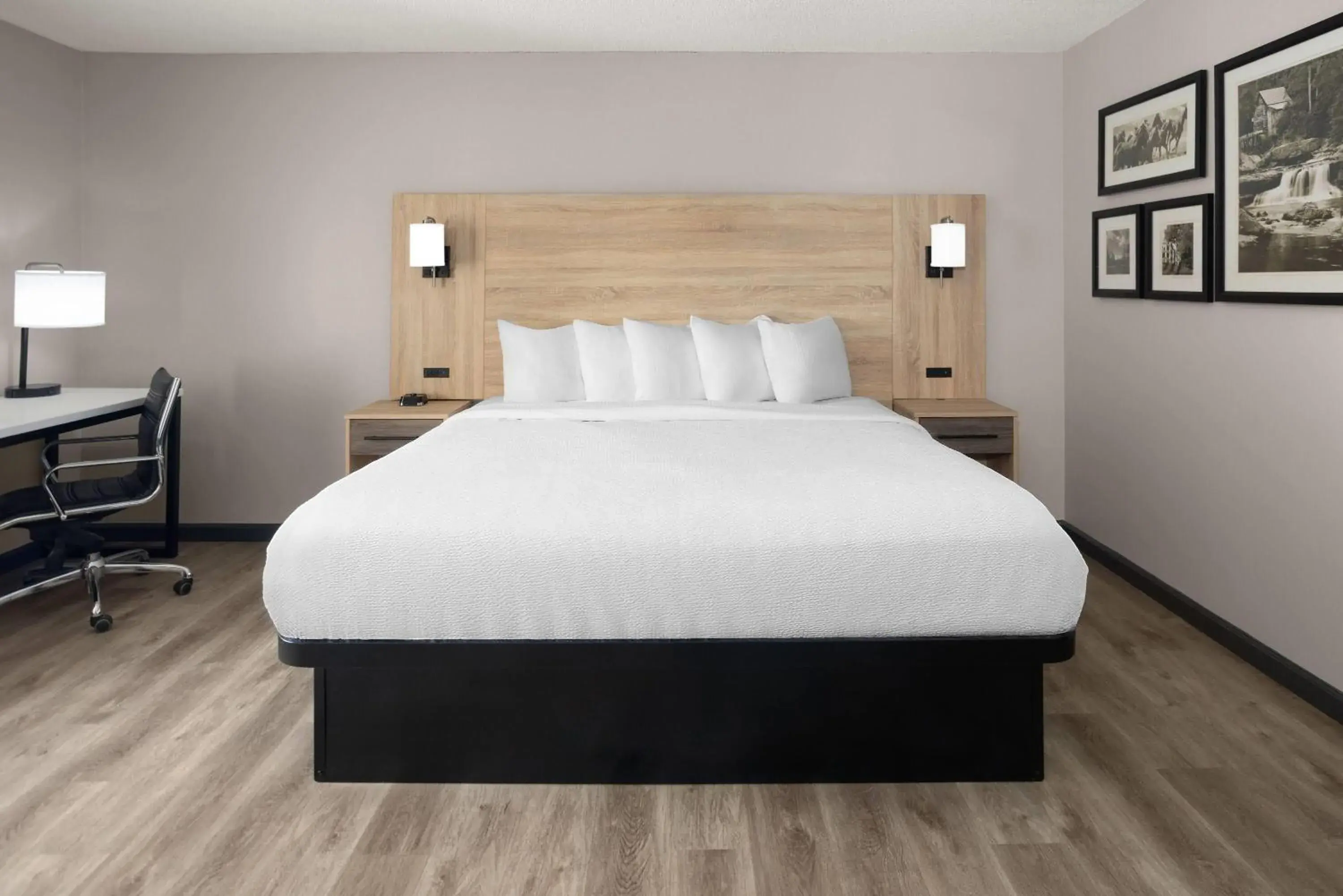 Photo of the whole room, Bed in La Quinta by Wyndham Mansfield OH Photo of the whole room, Bed in La Quinta by Wyndham Mansfield OH