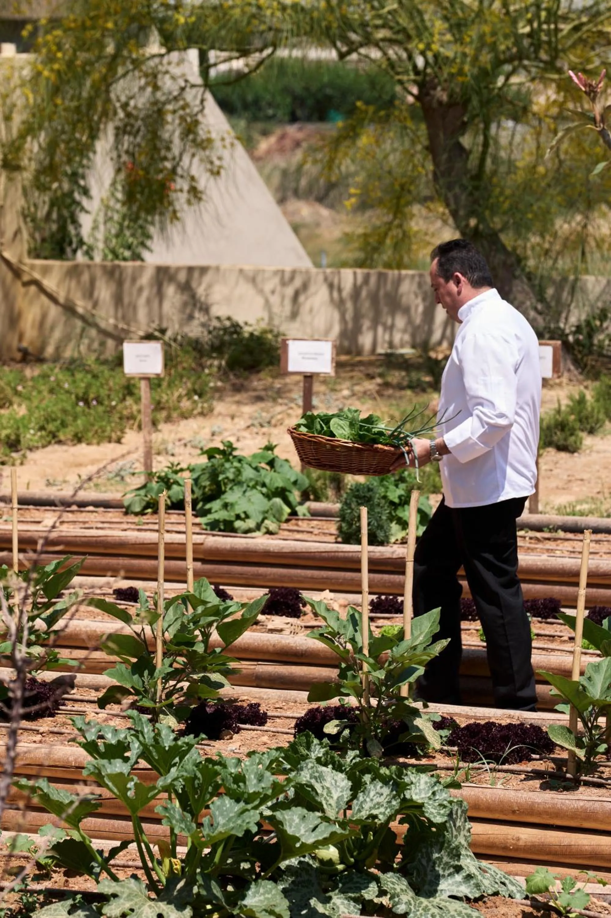 Summer in TUI Magic Life Candia Maris - Adults Only