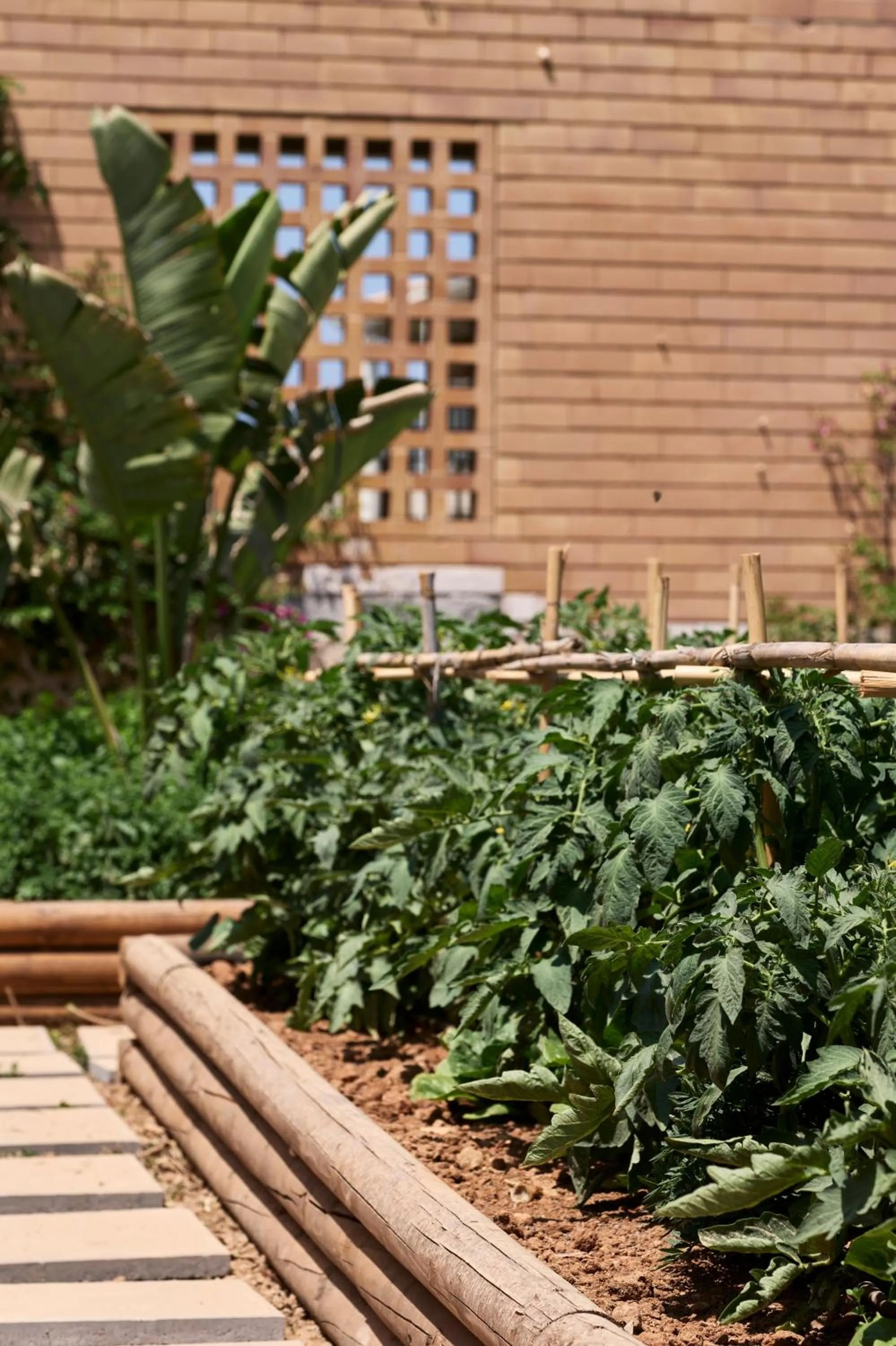 Summer in TUI Magic Life Candia Maris - Adults Only