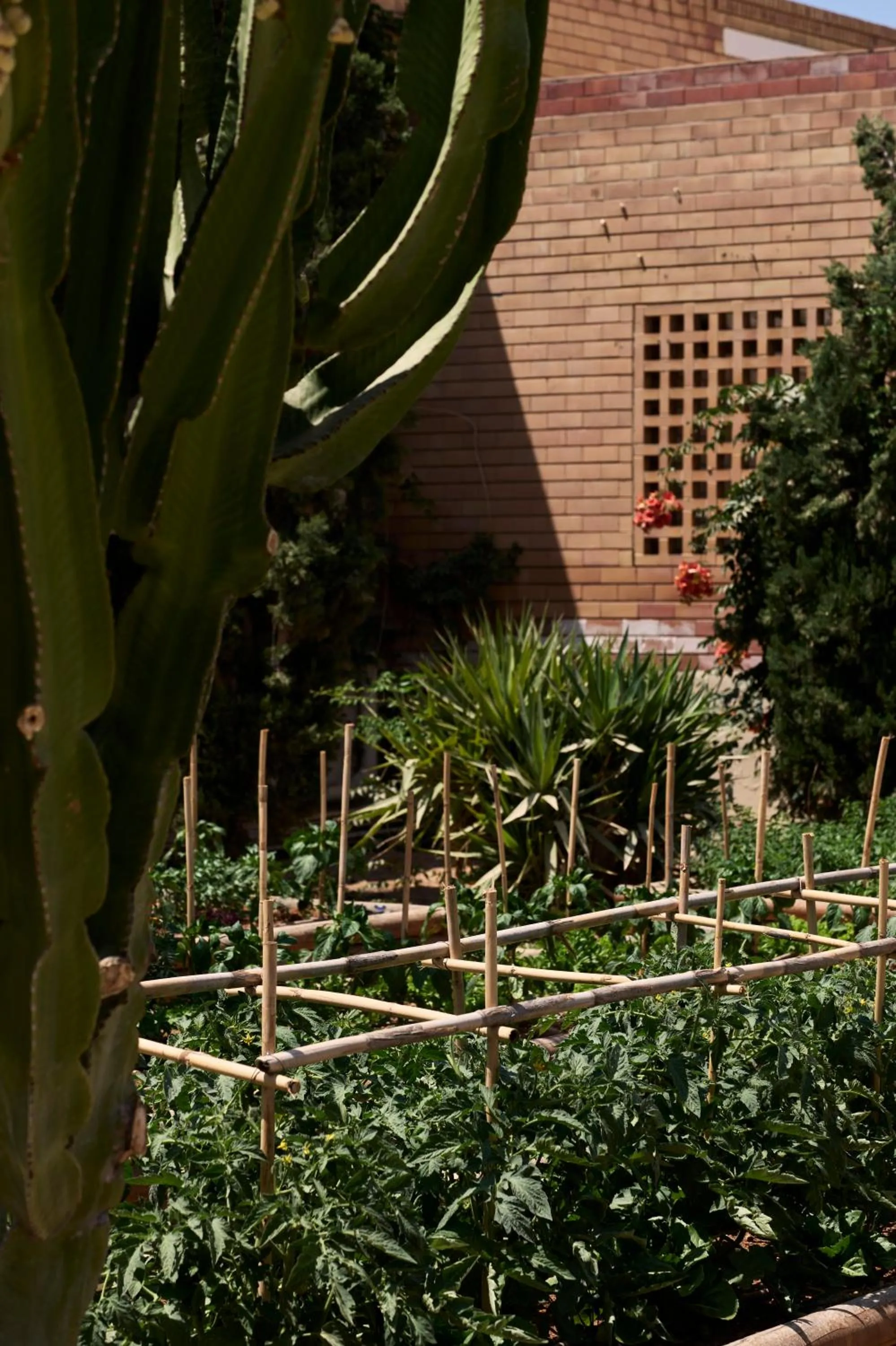 Summer in TUI Magic Life Candia Maris - Adults Only