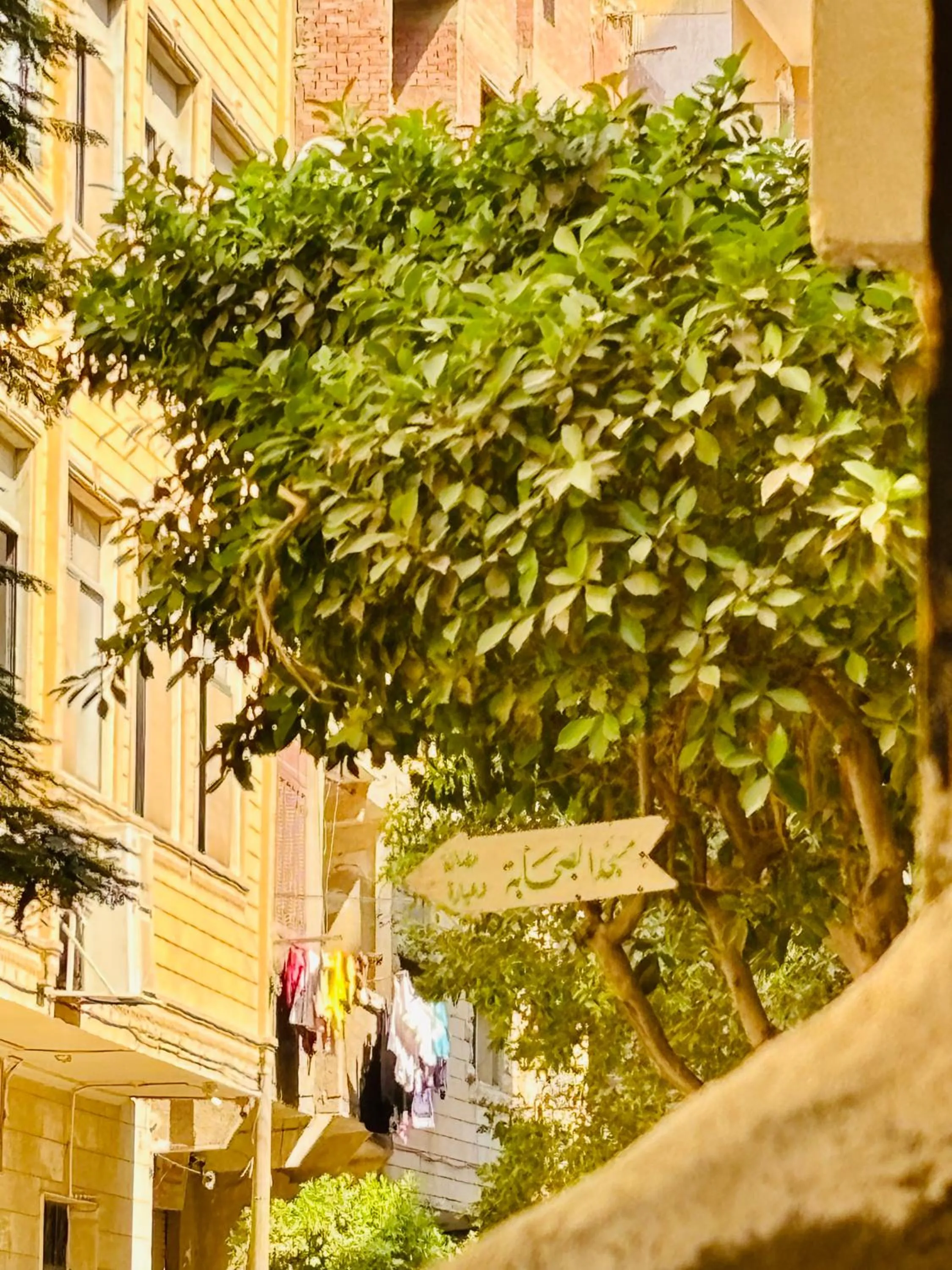 Off site in Giza Pyramids View Guest House