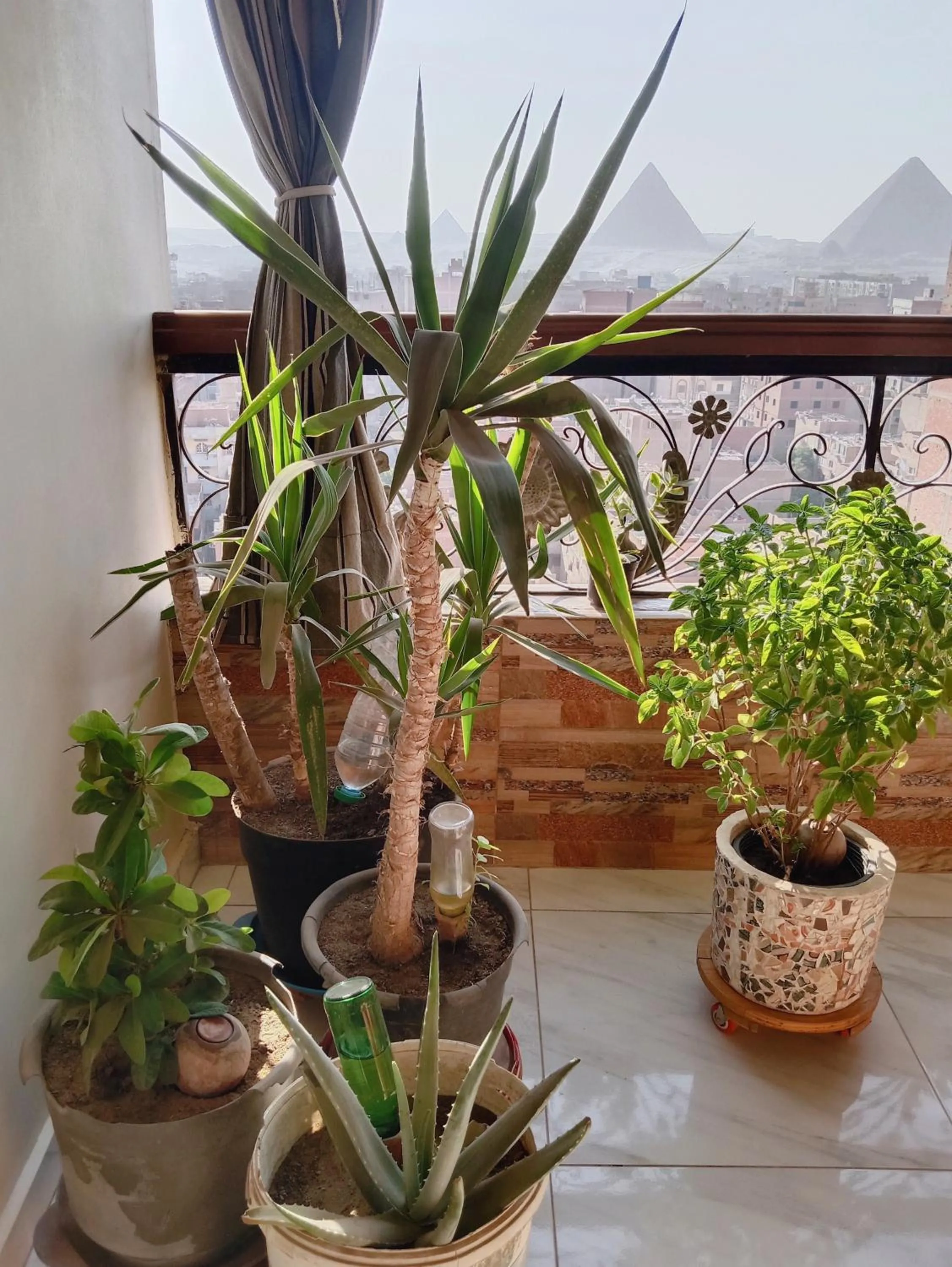 Balcony/Terrace in Giza Pyramids View Guest House