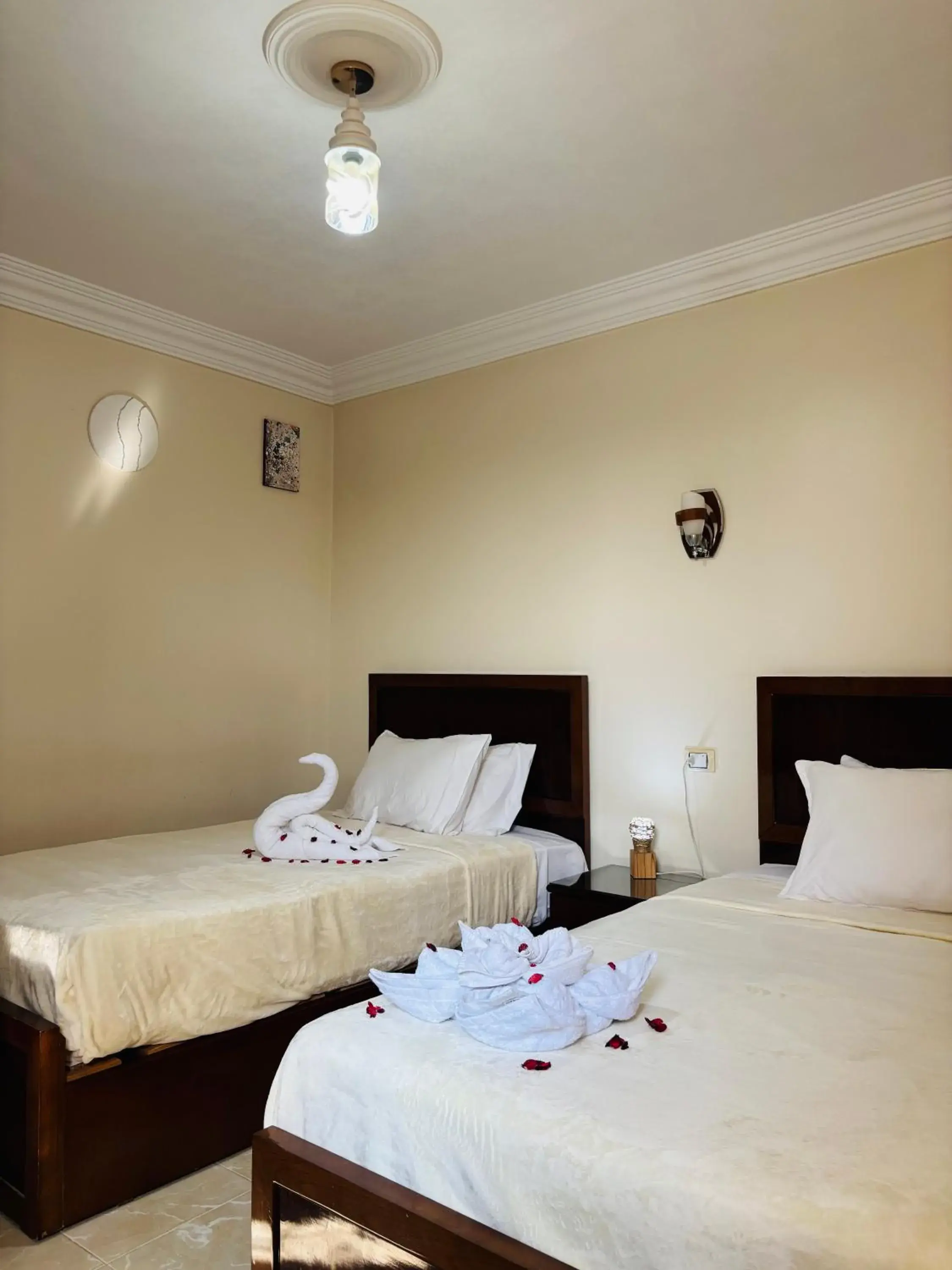 Twin Room in Giza Pyramids View Guest House Twin Room in Giza Pyramids View Guest House