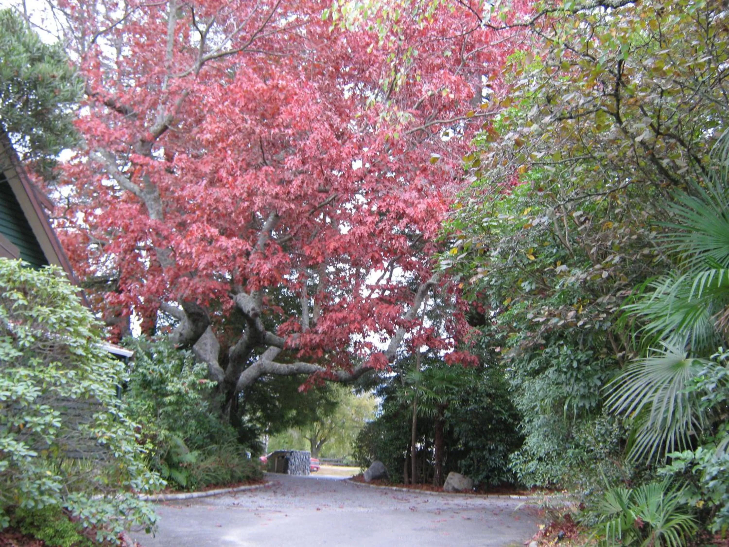 Spring in Creel Lodge