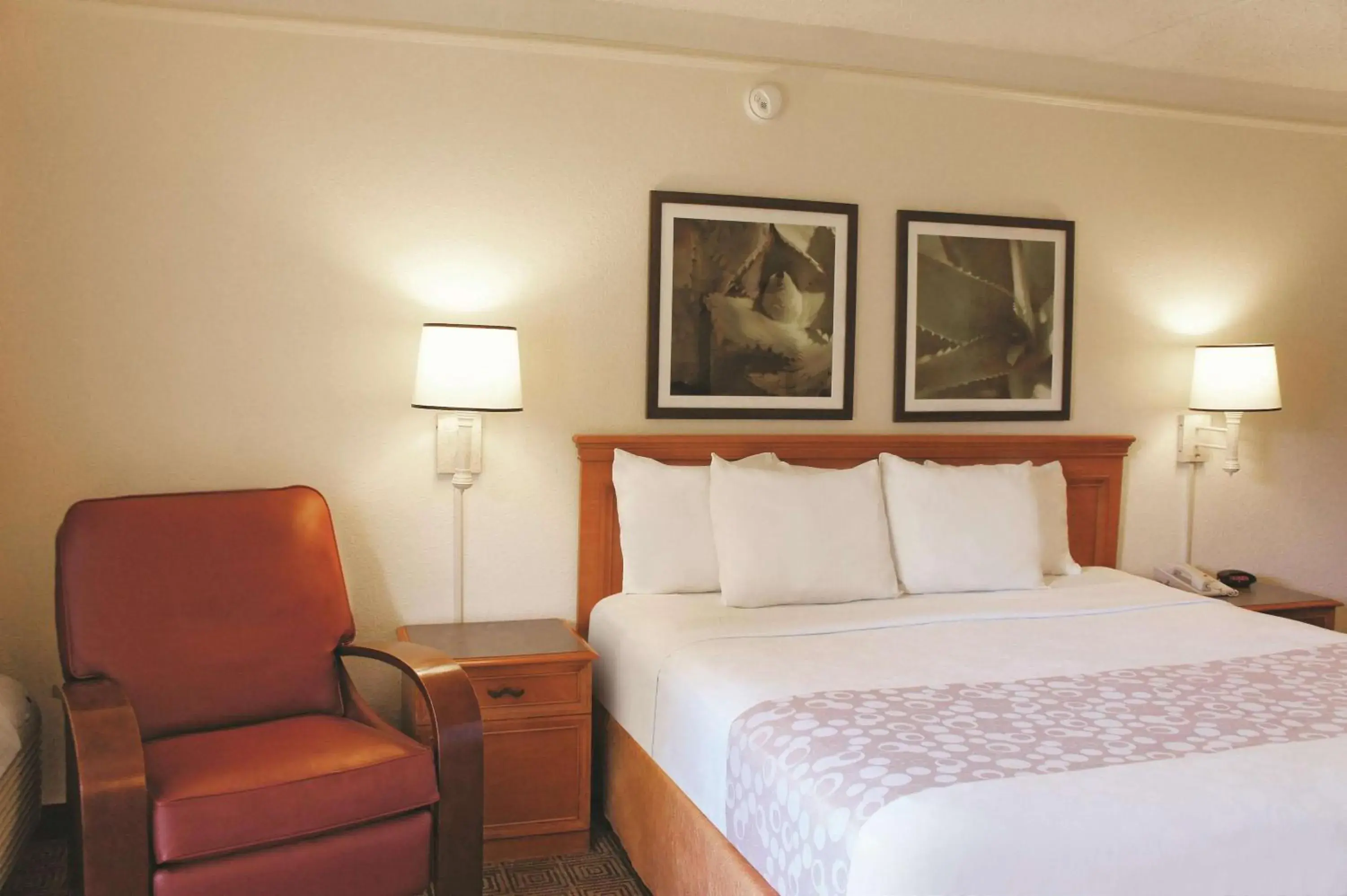 Photo of the whole room, Bed in Baymont by Wyndham Houston La Porte Photo of the whole room, Bed in Baymont by Wyndham Houston La Porte