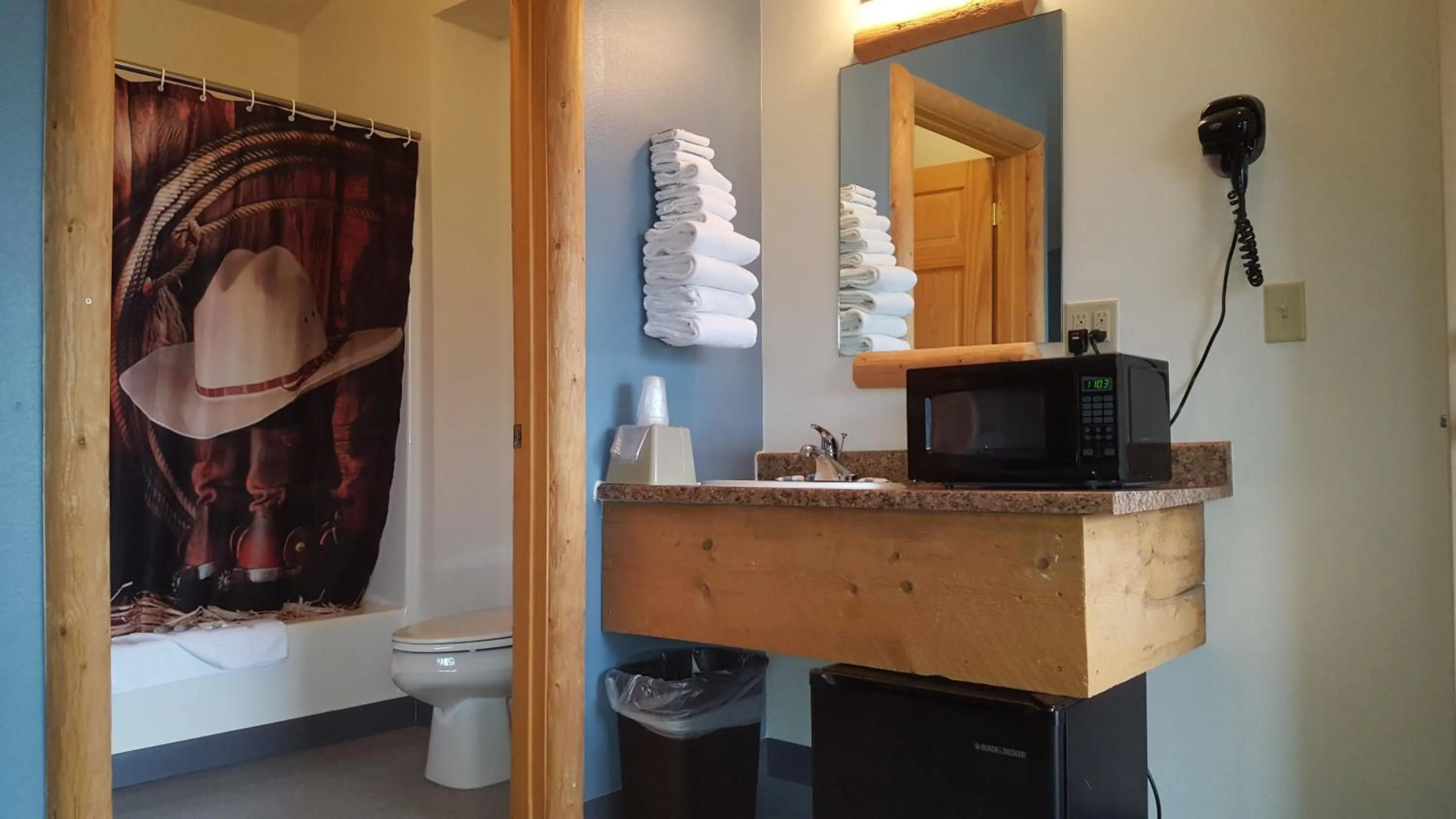 Bathroom in Big Bear Motel