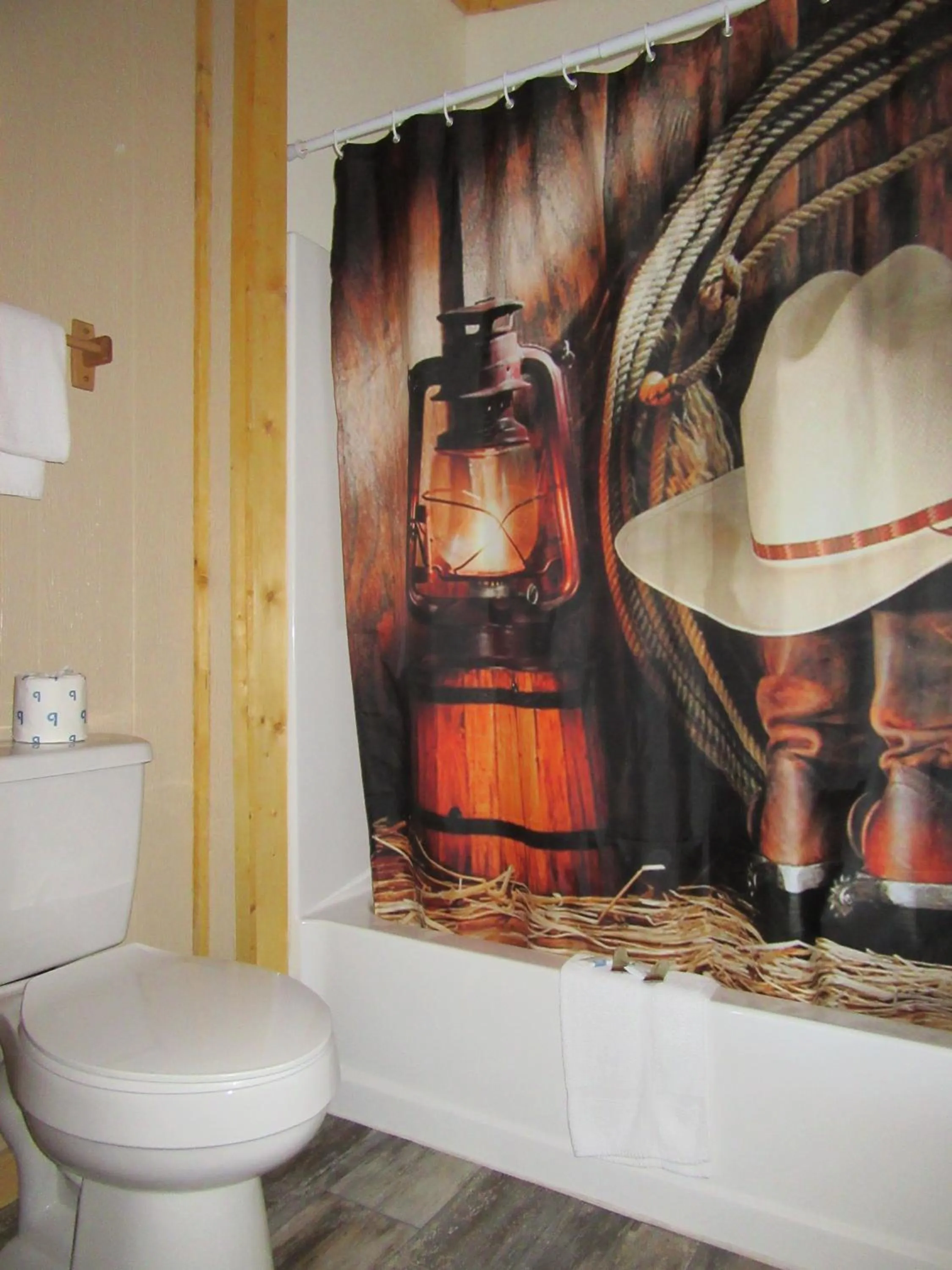 Shower in Big Bear Motel