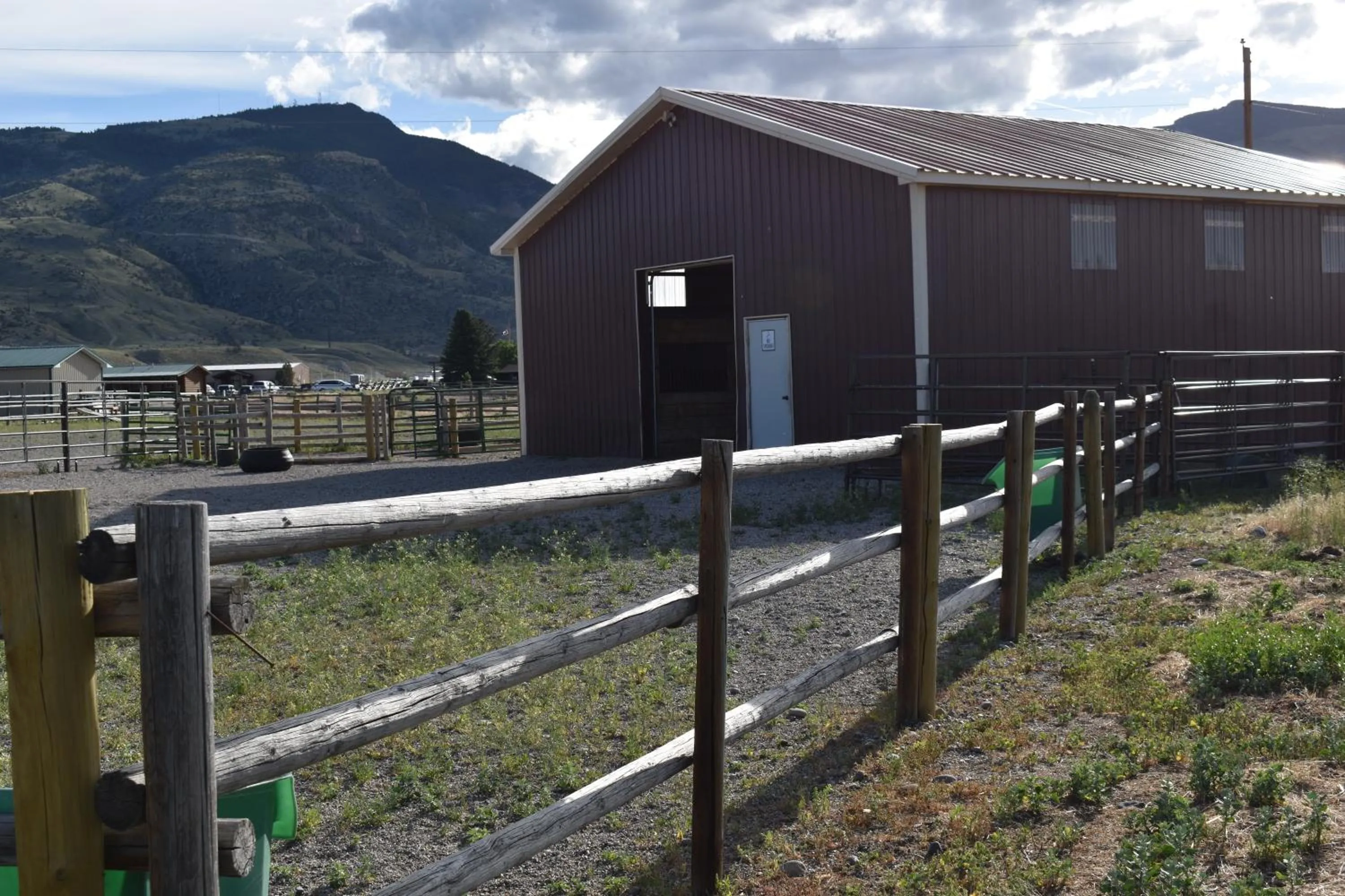 Horse-riding in Big Bear Motel
