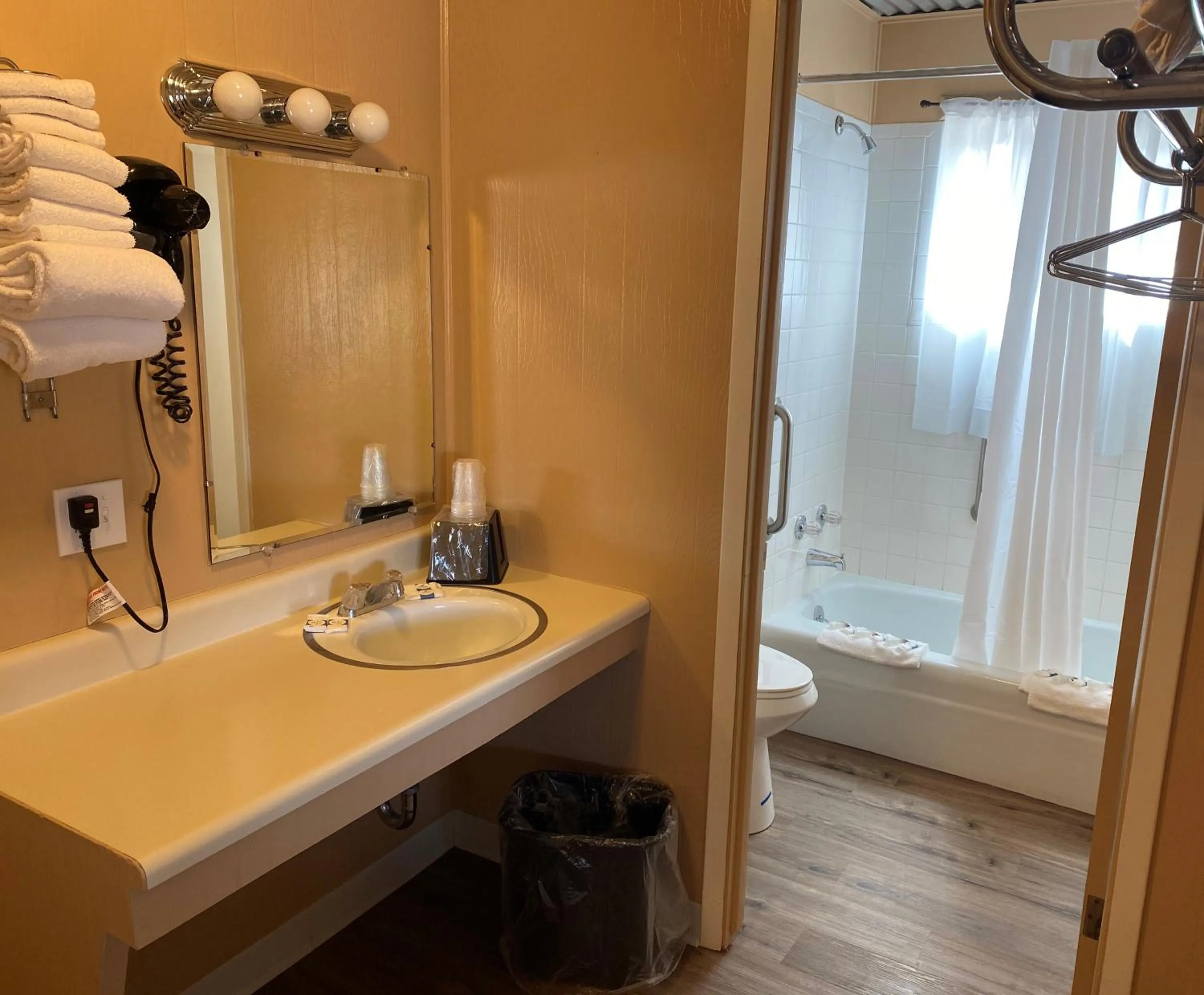 Bathroom in Big Bear Motel