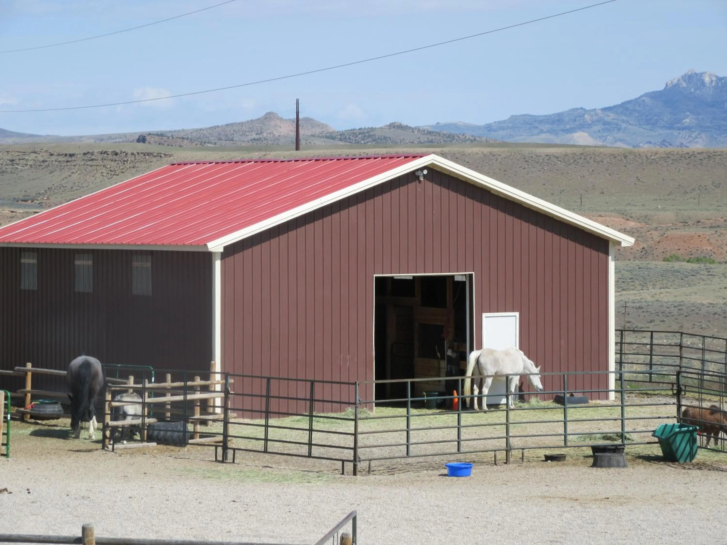 Horse-riding in Big Bear Motel