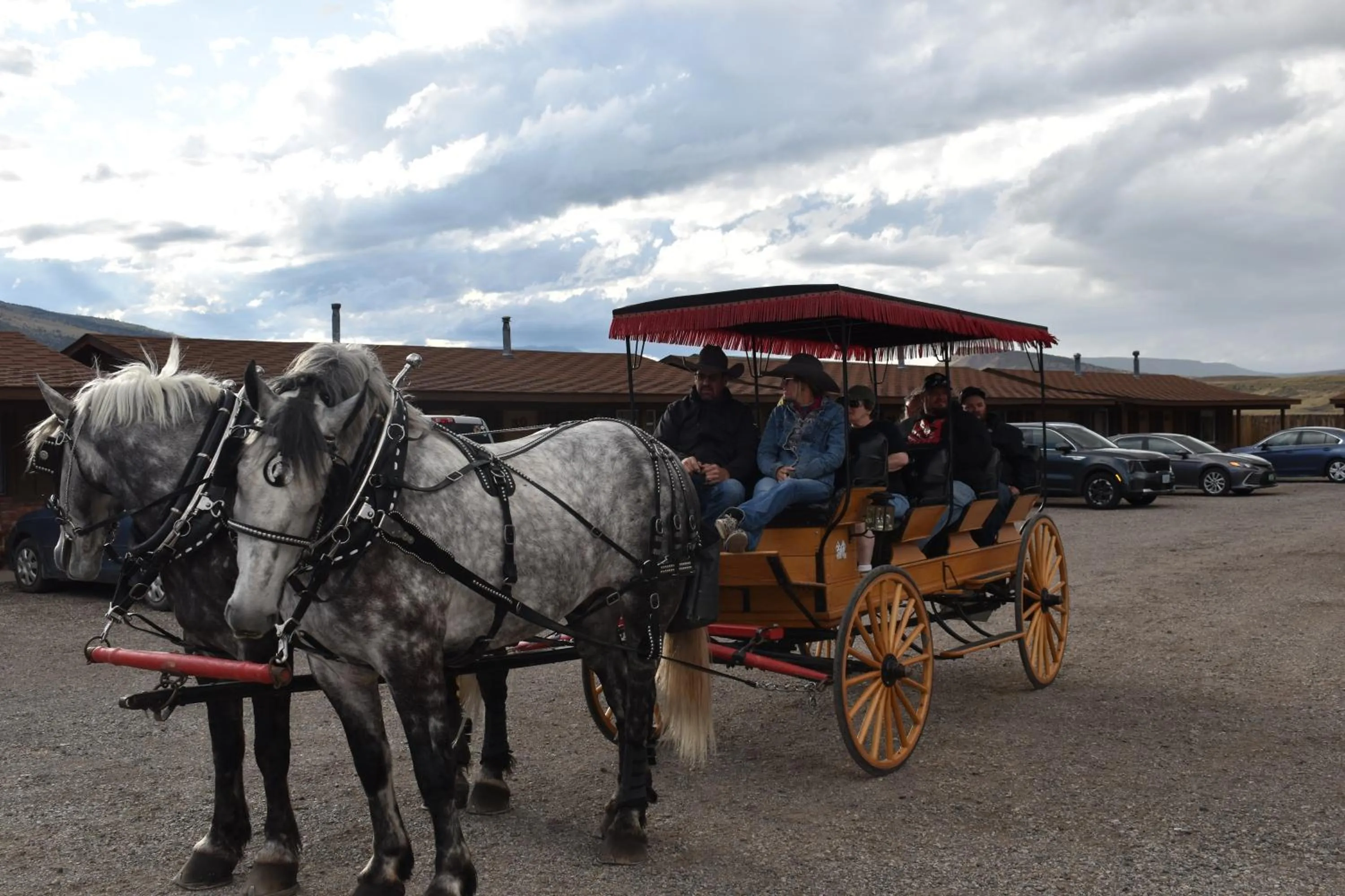 Horse-riding in Big Bear Motel