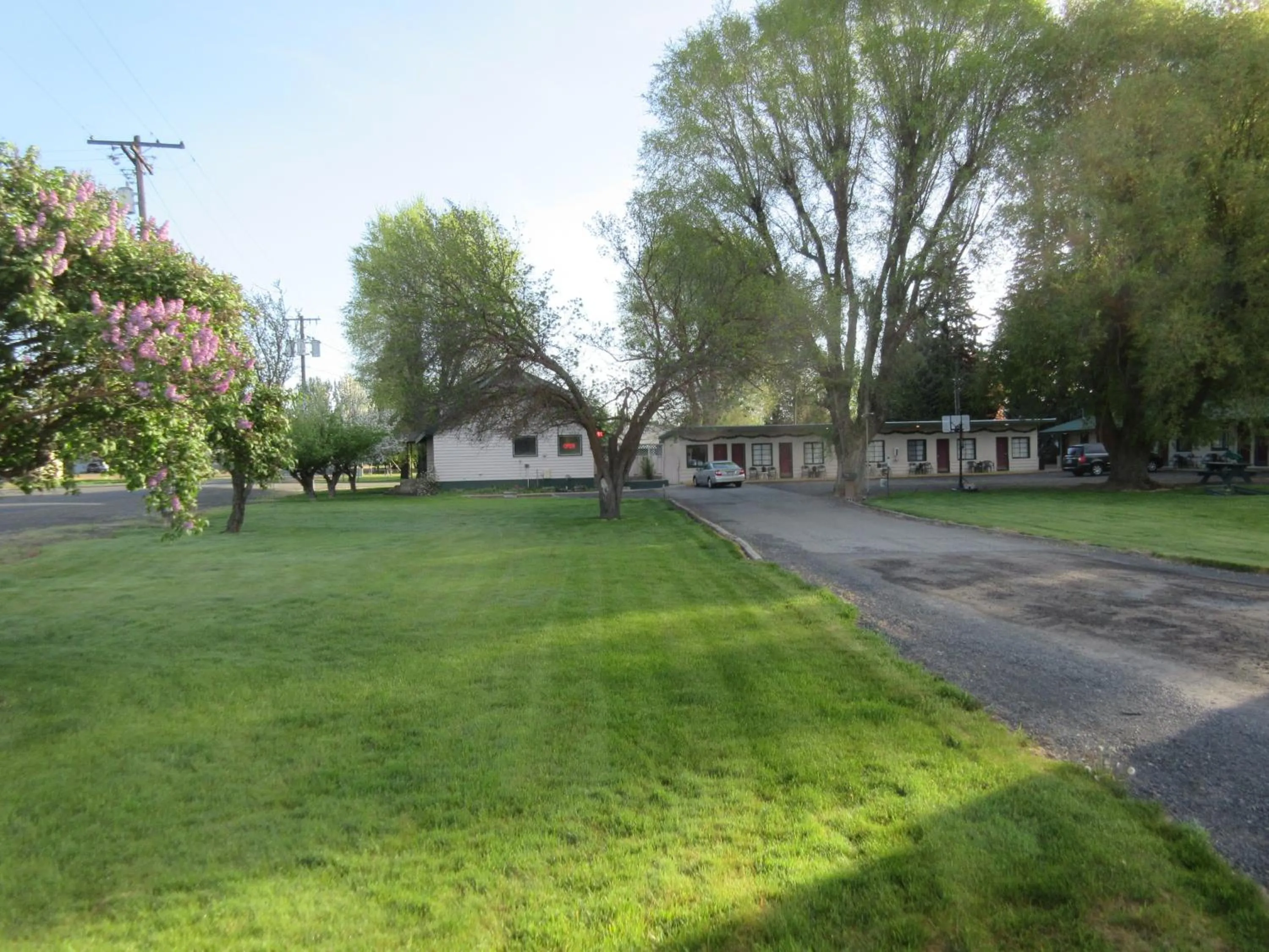 The Willows Motel