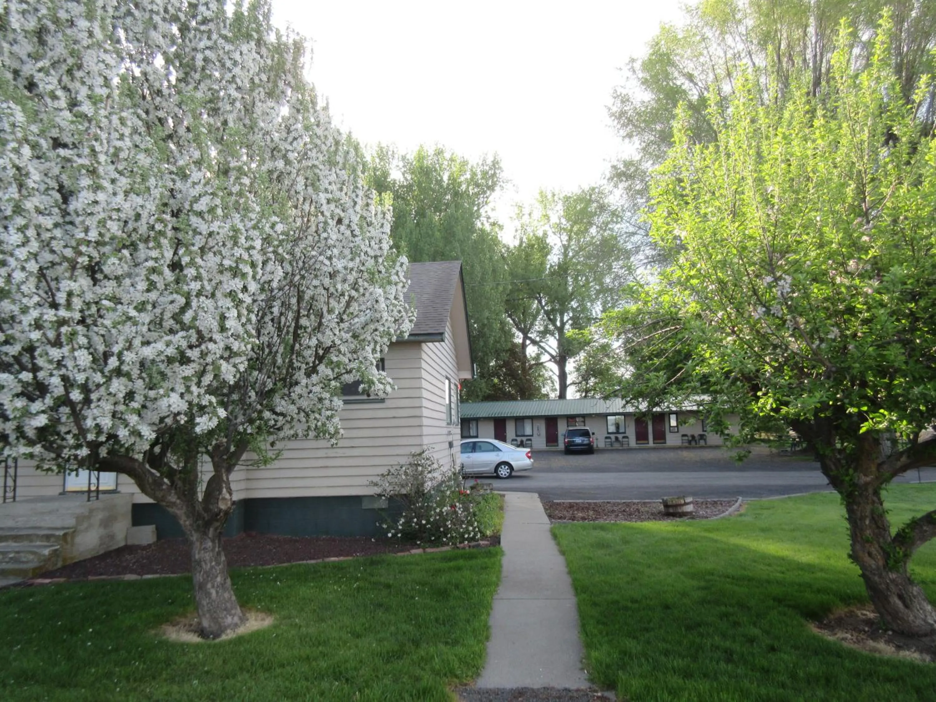 The Willows Motel