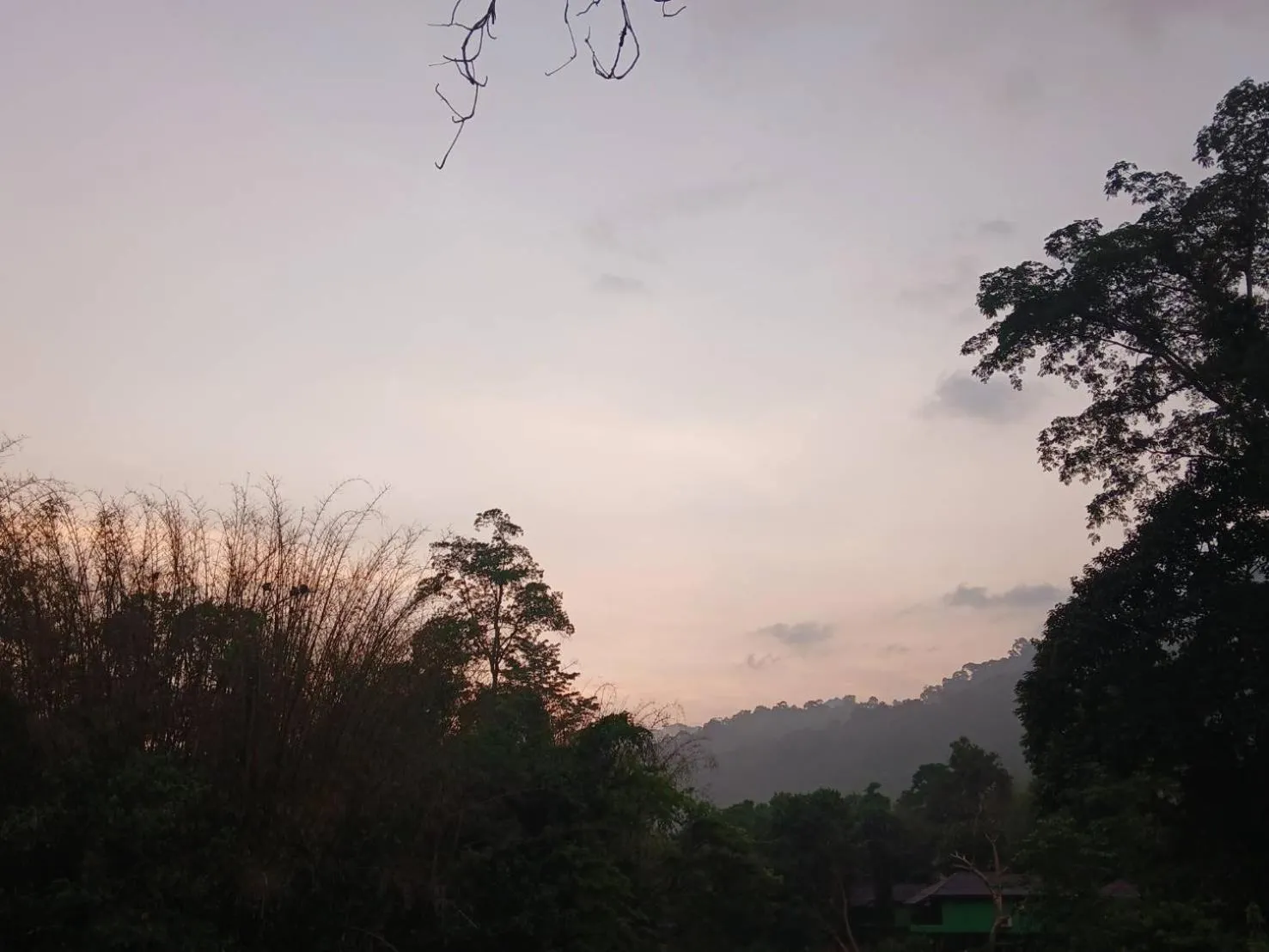 Natural landscape in Bamboo House