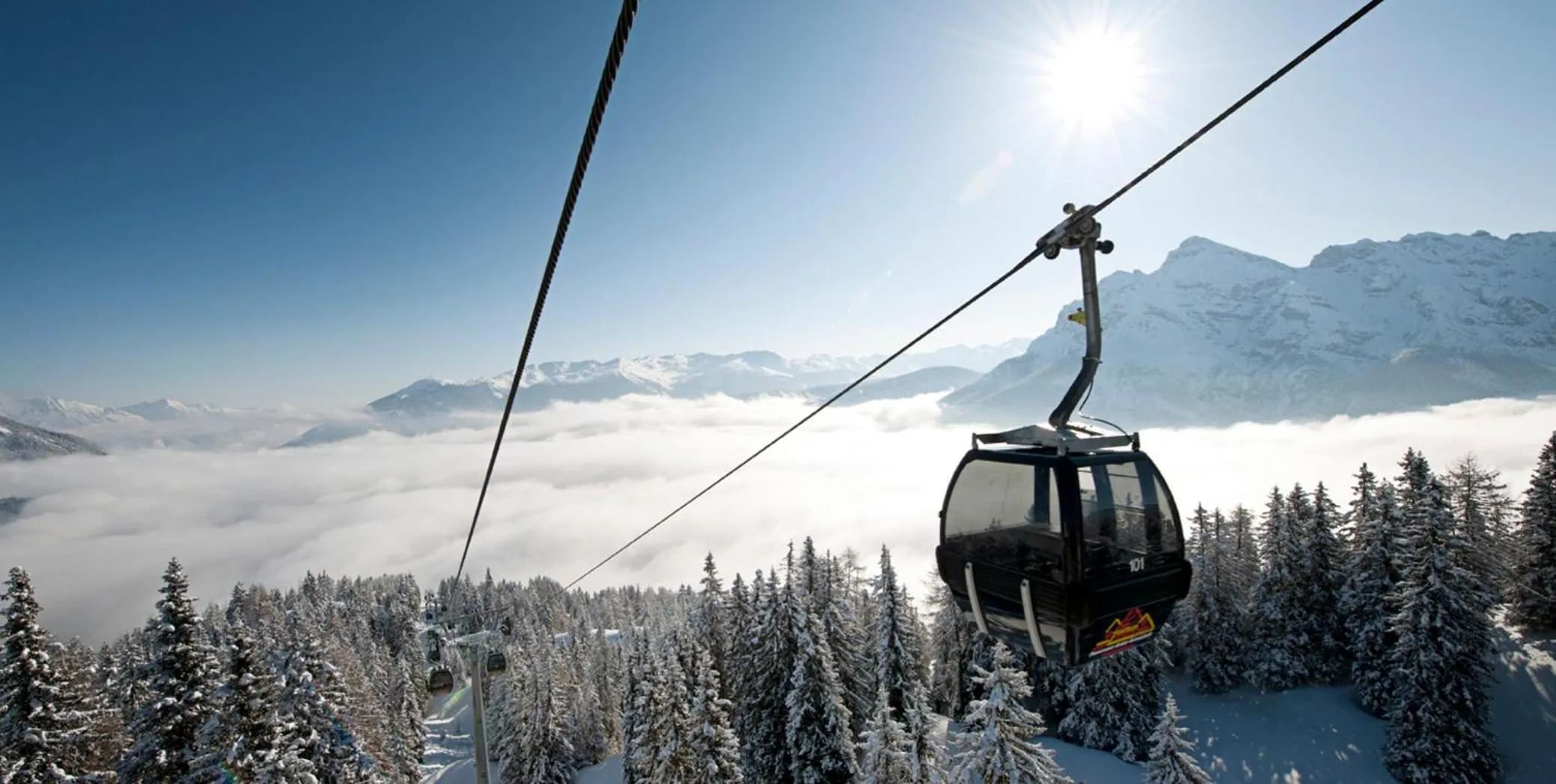 Winter in Forster's Naturresort