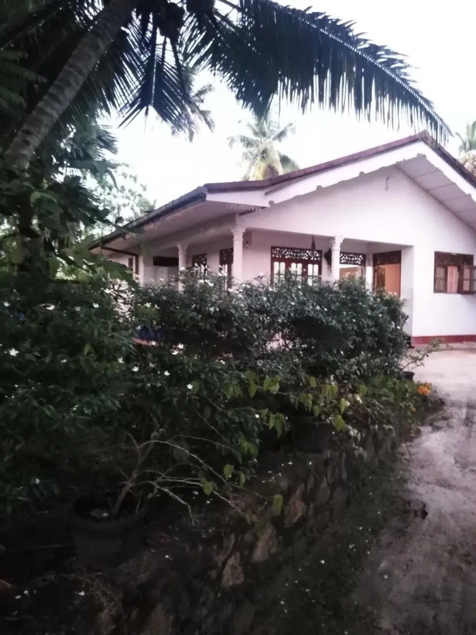 Garden view in Field Island Villa - Ahangama