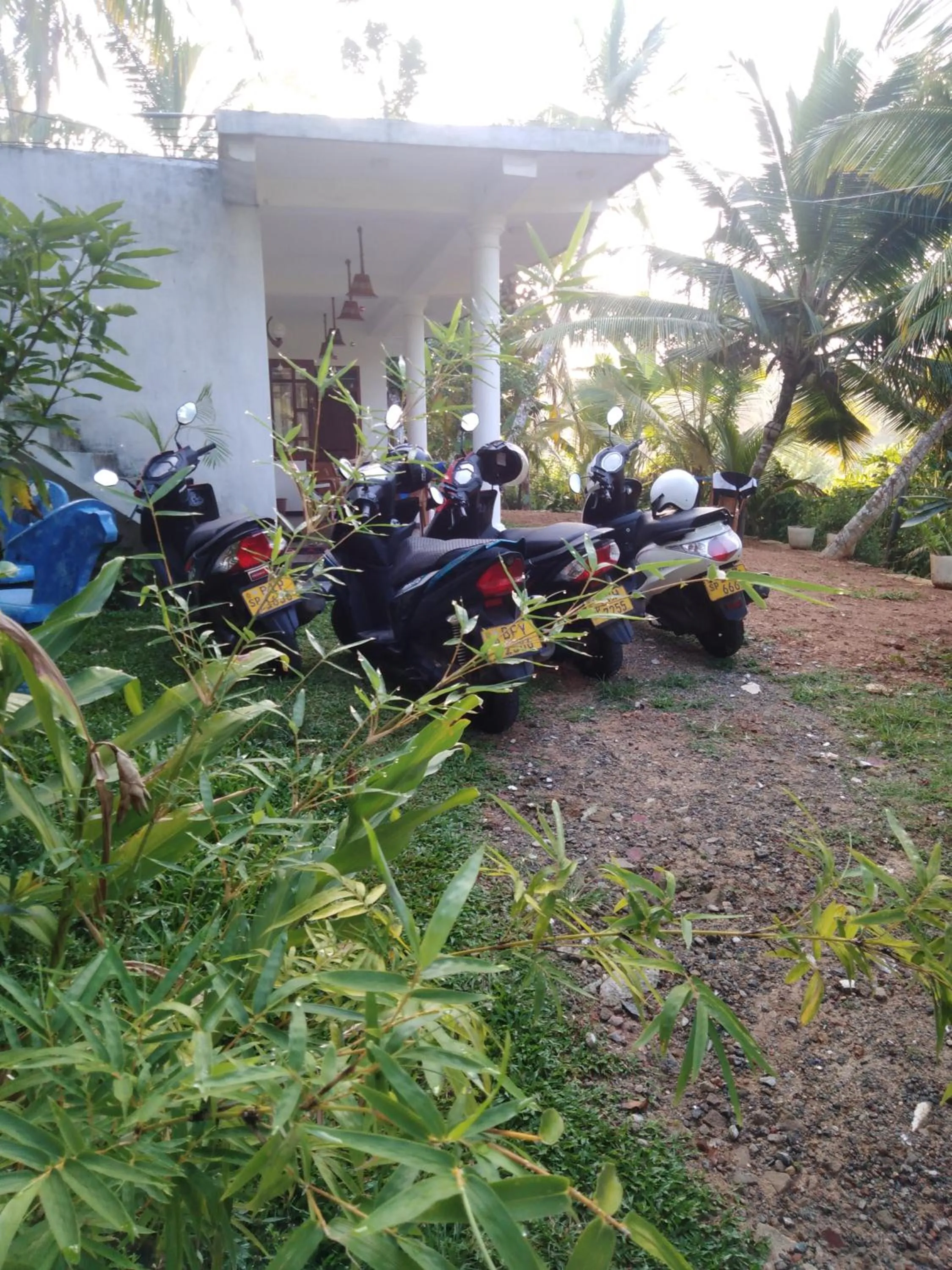 Garden in Field Island Villa - Ahangama