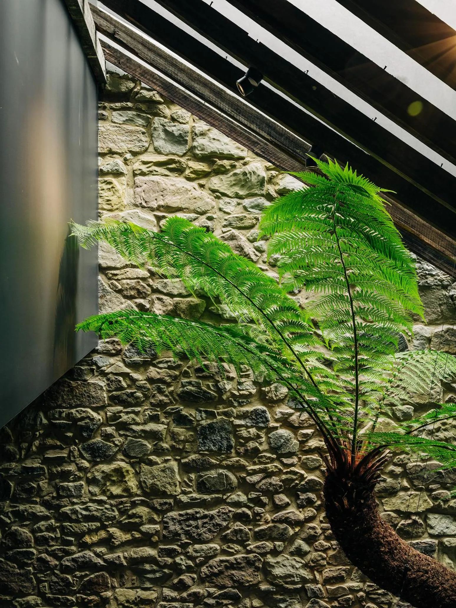 Garden in Moss Hotel