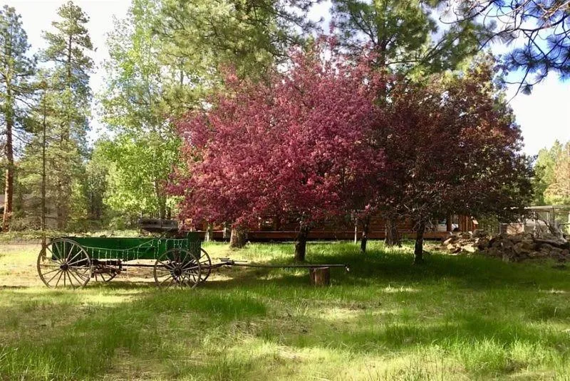 Property building in Sisters Dream Inn