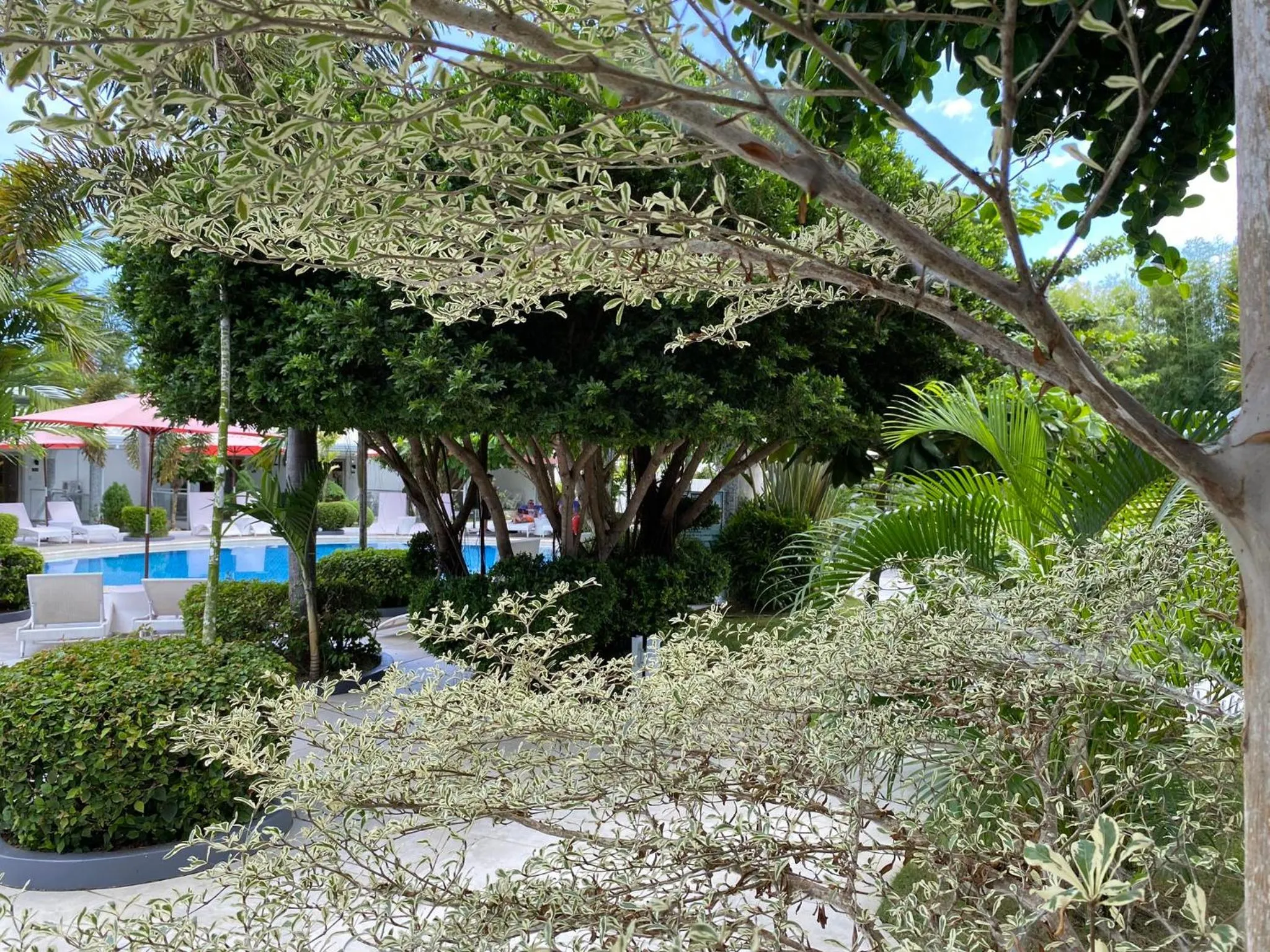 Garden in Marina Point Bay Resort