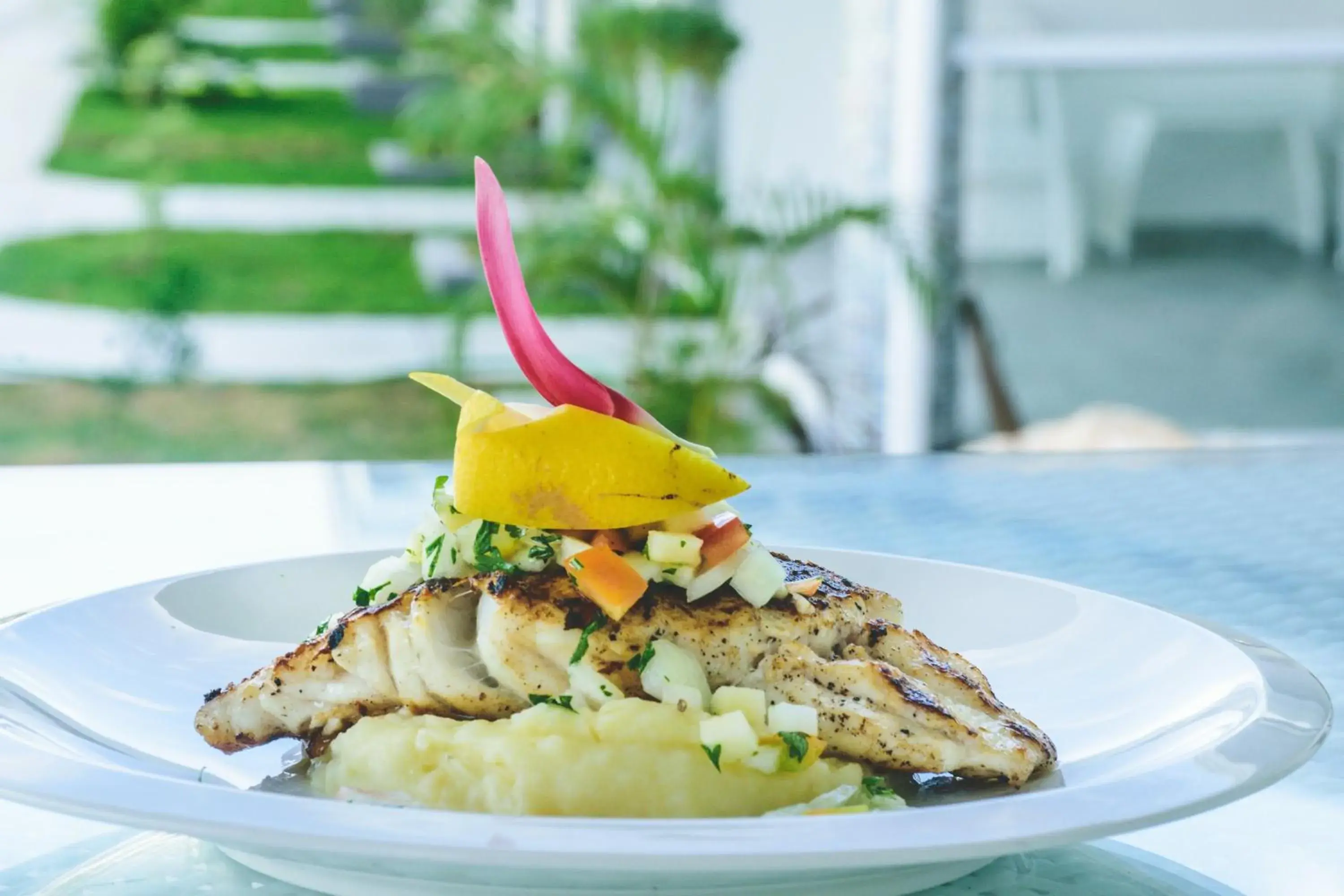 Food in Marina Point Bay Resort Food in Marina Point Bay Resort