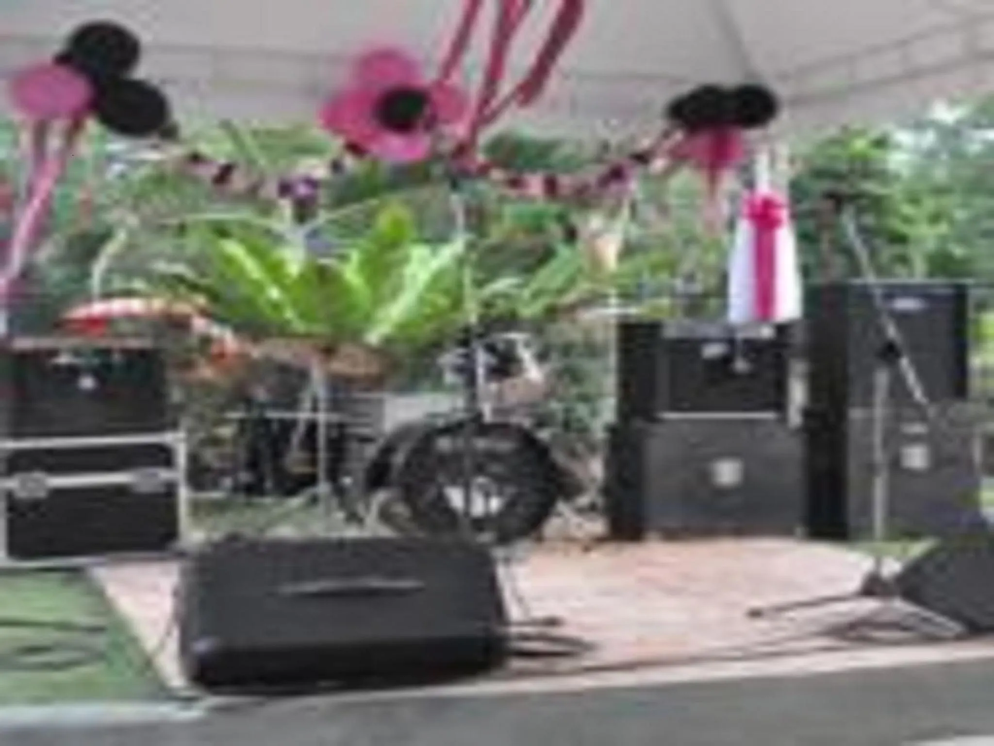 Evening entertainment in The Gabriella Bed and Breakfast