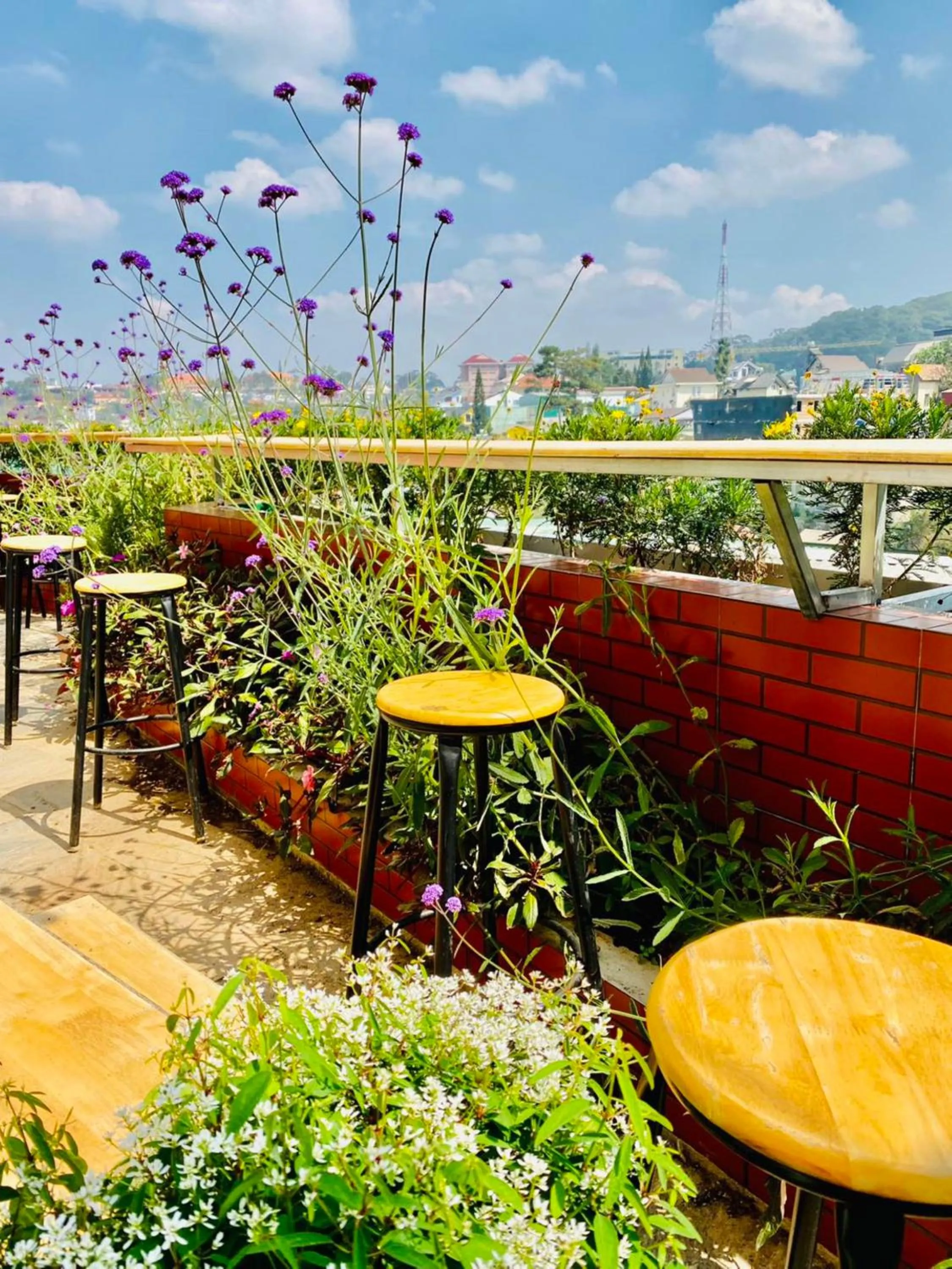 Balcony/Terrace in An Nhien Hotel
