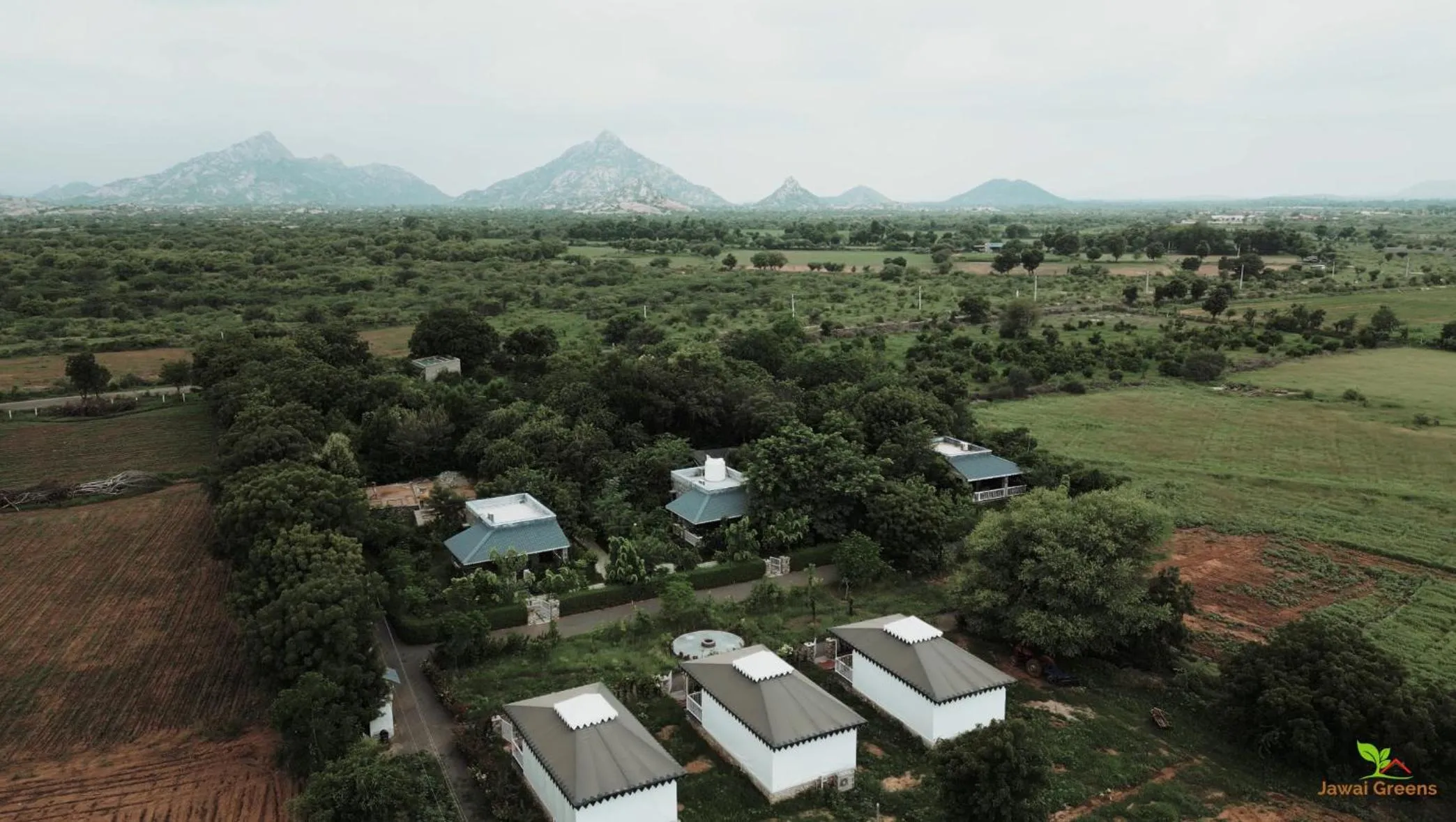 Jawai Greens