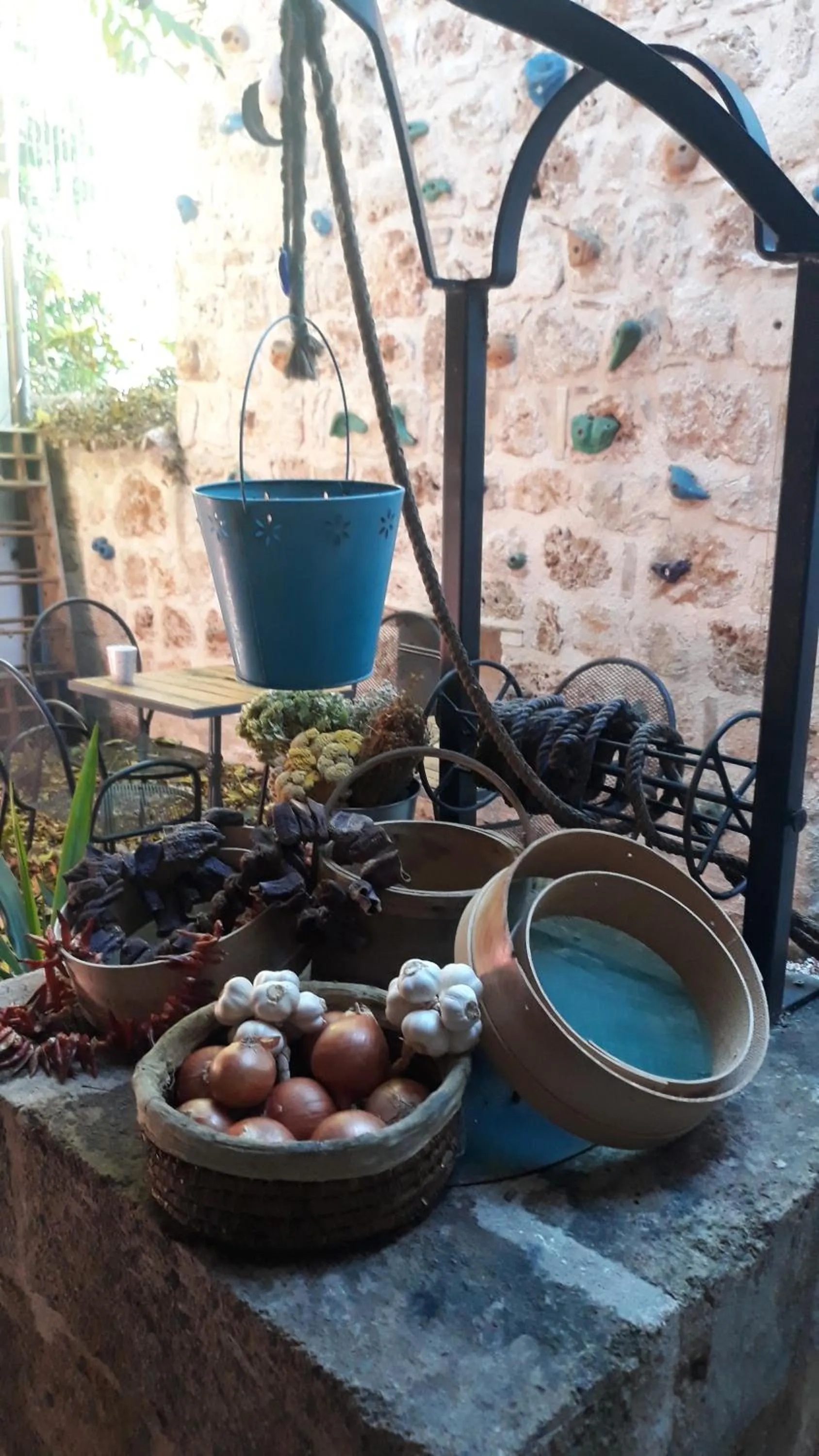 Garden in Kuyu Beergarden Hostel