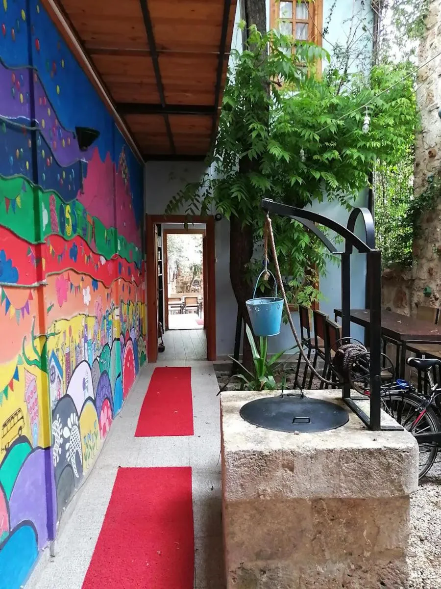 Garden view in Kuyu Beergarden Hostel