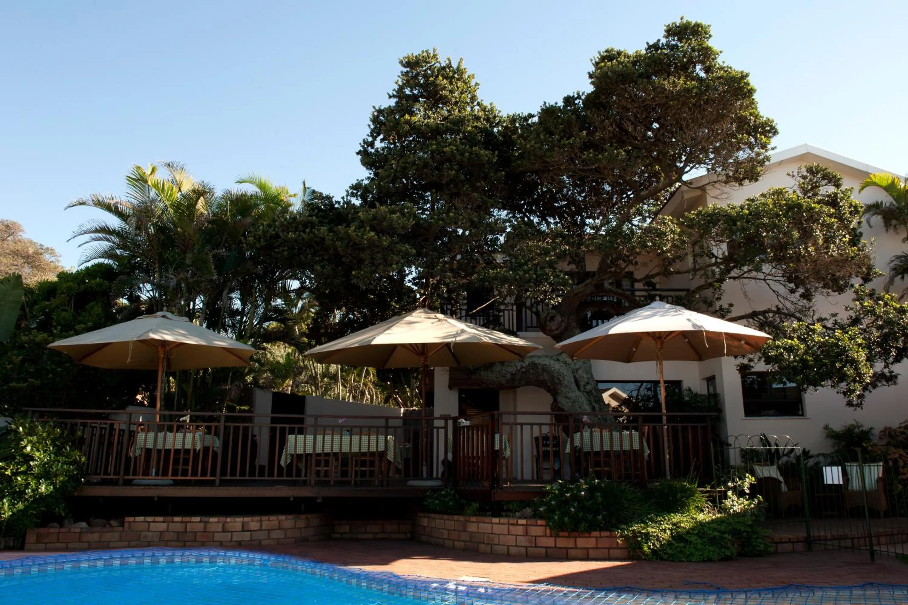 Swimming pool in Fairlight Beach House