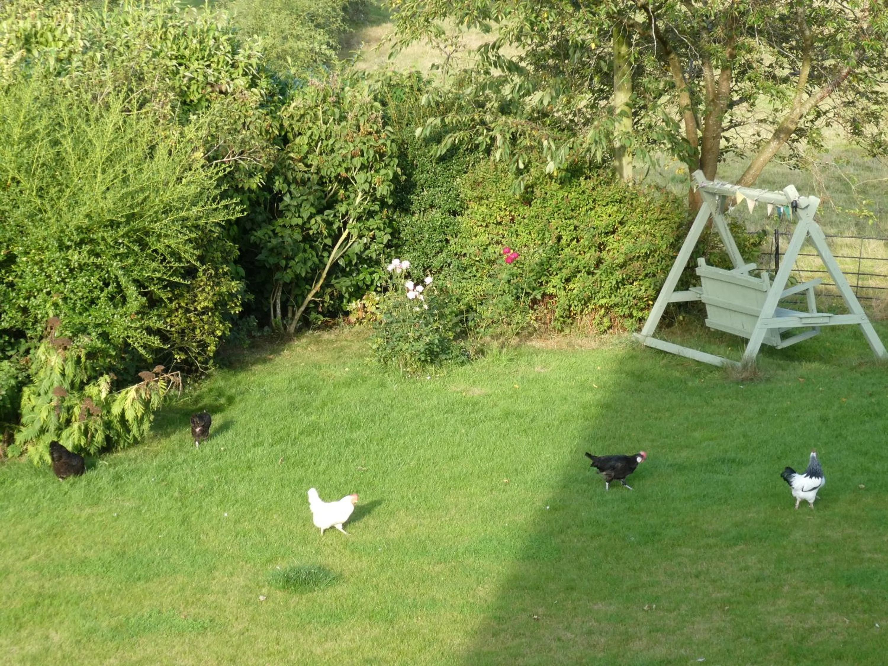 Garden view in Broome Park Farm B&B
