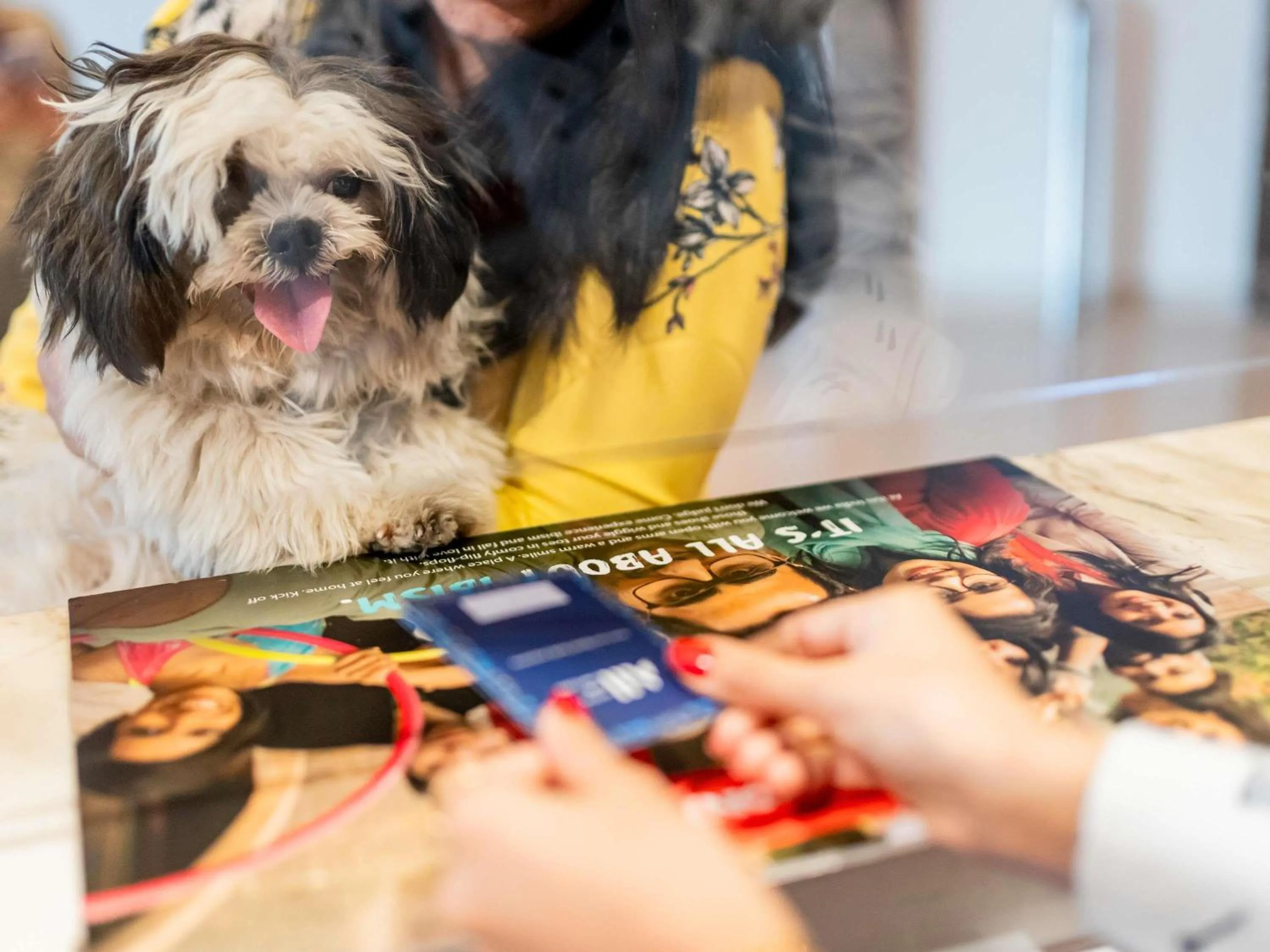 Other in ibis Hotel Regensburg City